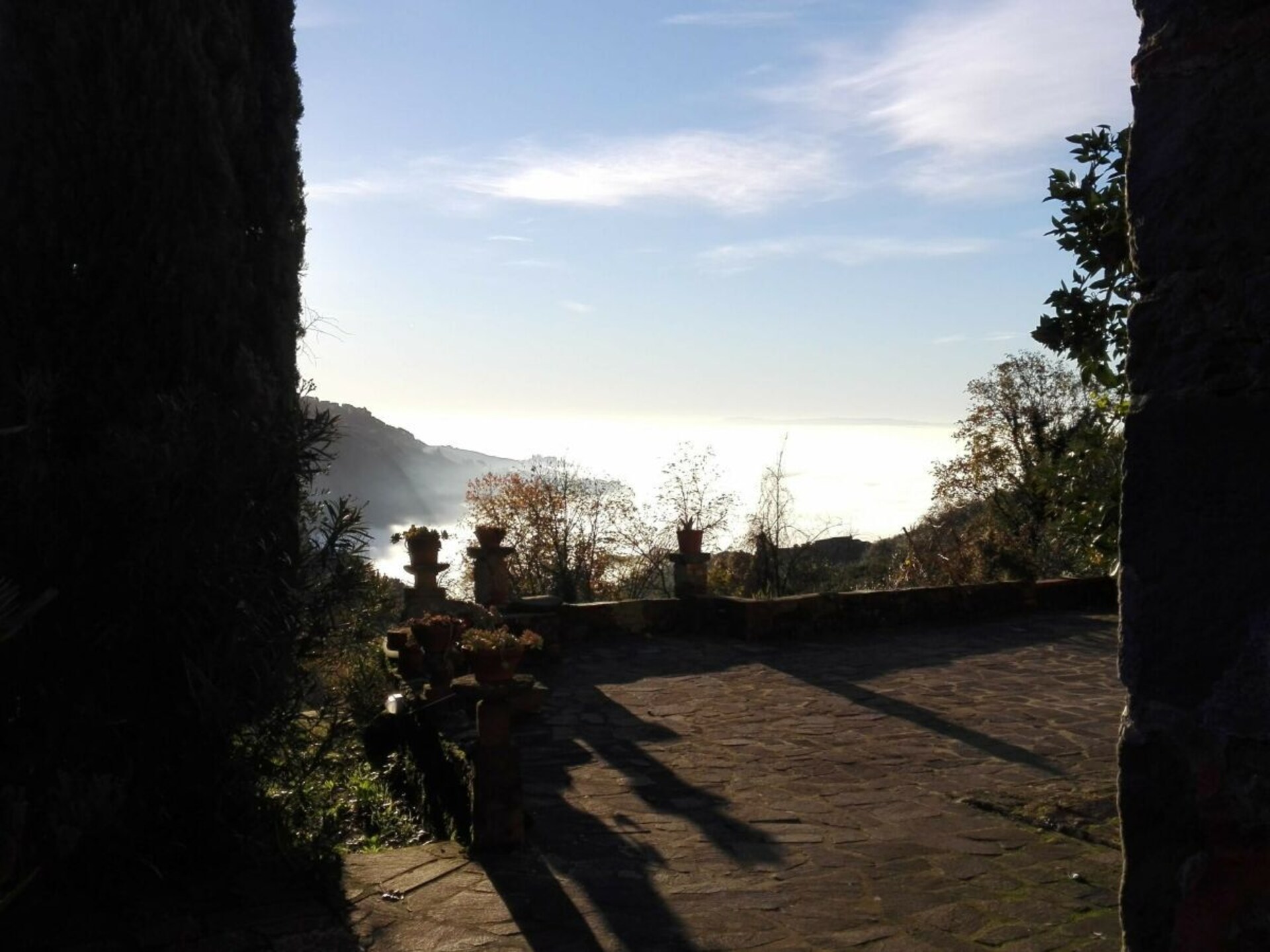 Verscholen vakantiehuis in Toscaanse olijfgaard bij Pescia - foto 18