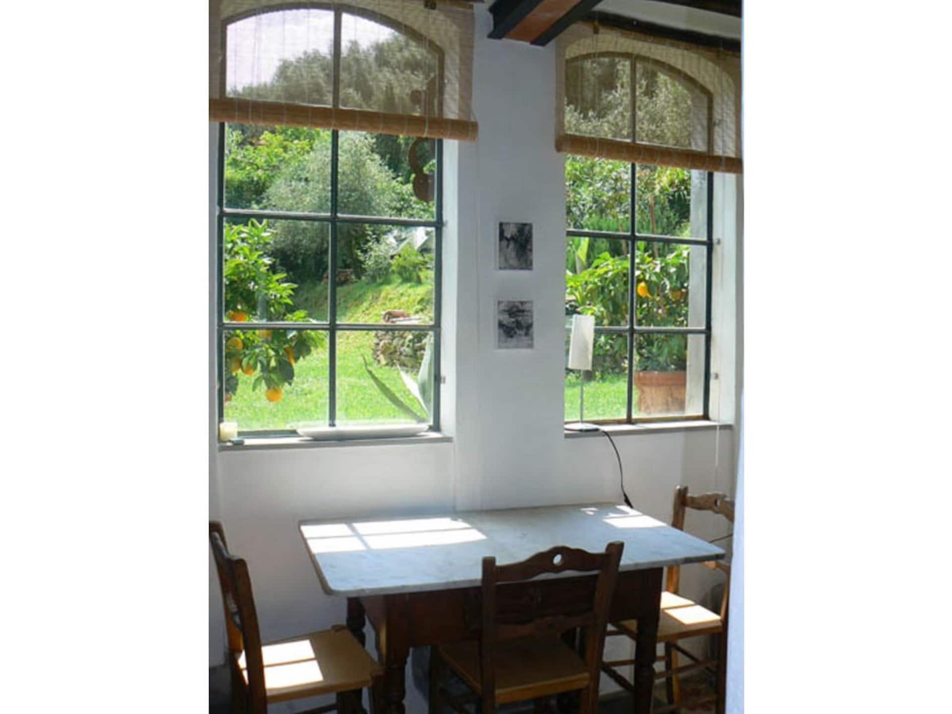 Verscholen vakantiehuis in Toscaanse olijfgaard bij Pescia - foto 28