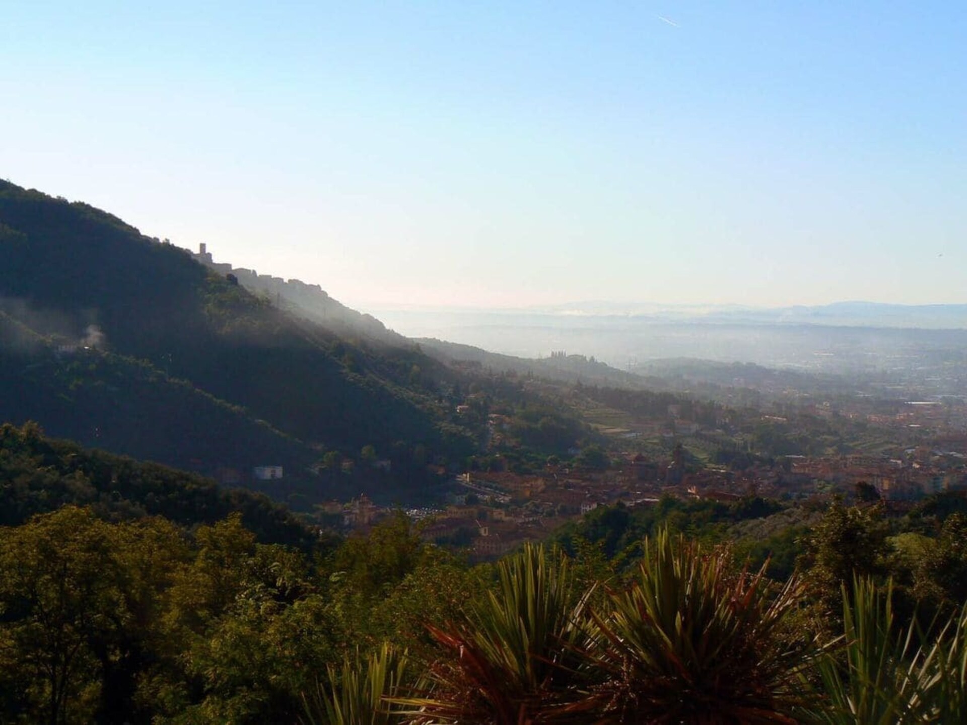 Verscholen vakantiehuis in Toscaanse olijfgaard bij Pescia - foto 42