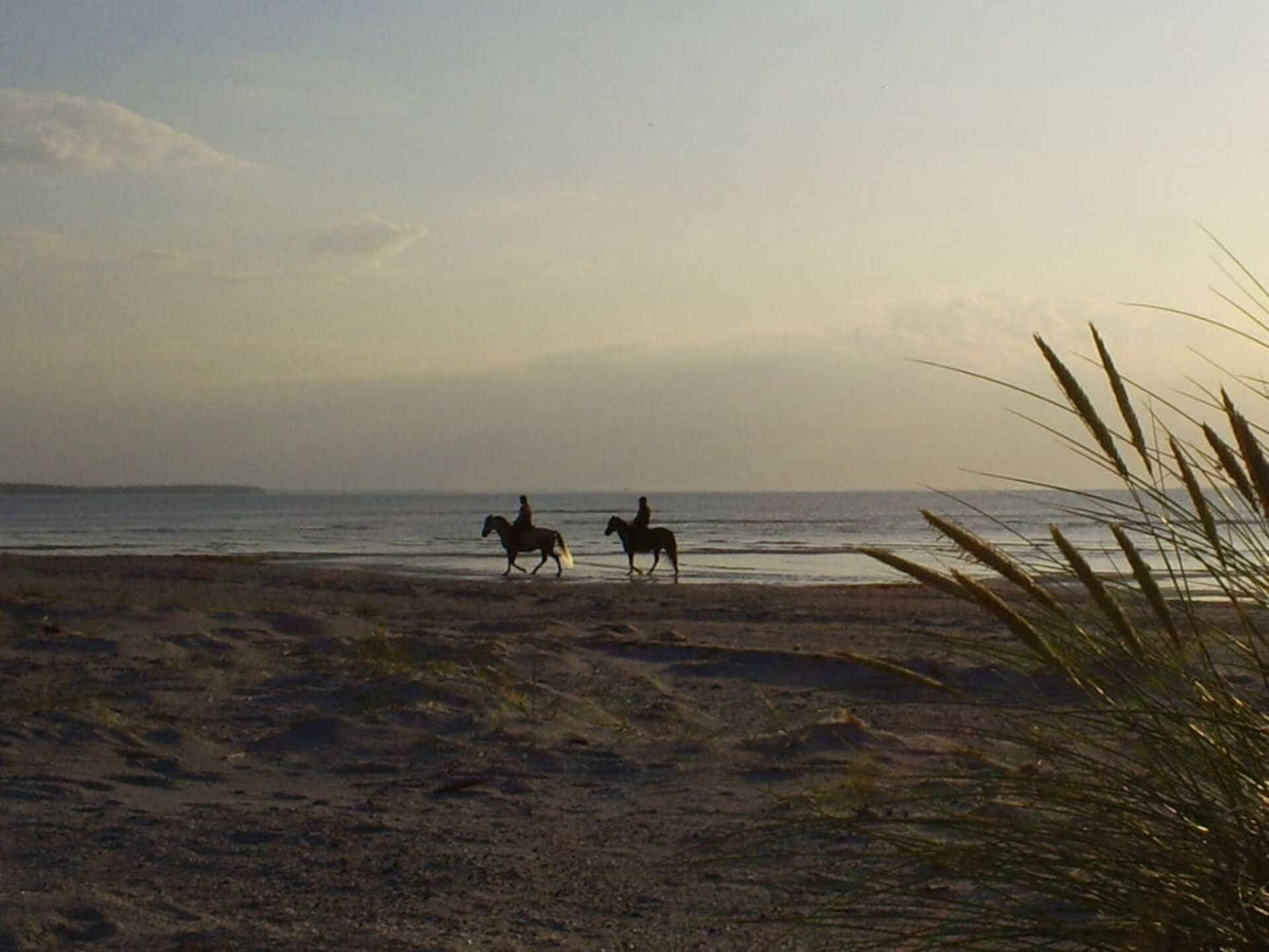 Knus appartement aan de bosrand, 5 minuten van het strand in Bansin - foto 18