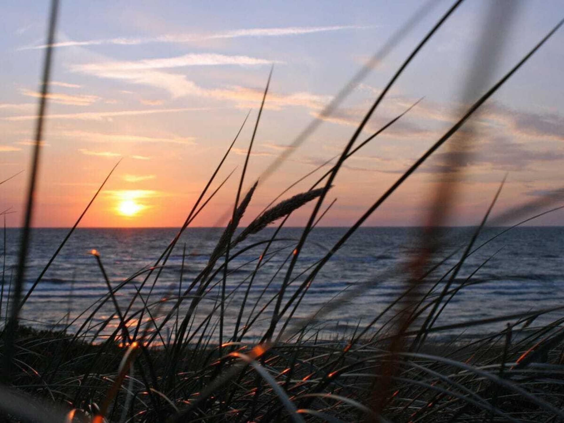 Knus appartement aan de bosrand, 5 minuten van het strand in Bansin - foto 19