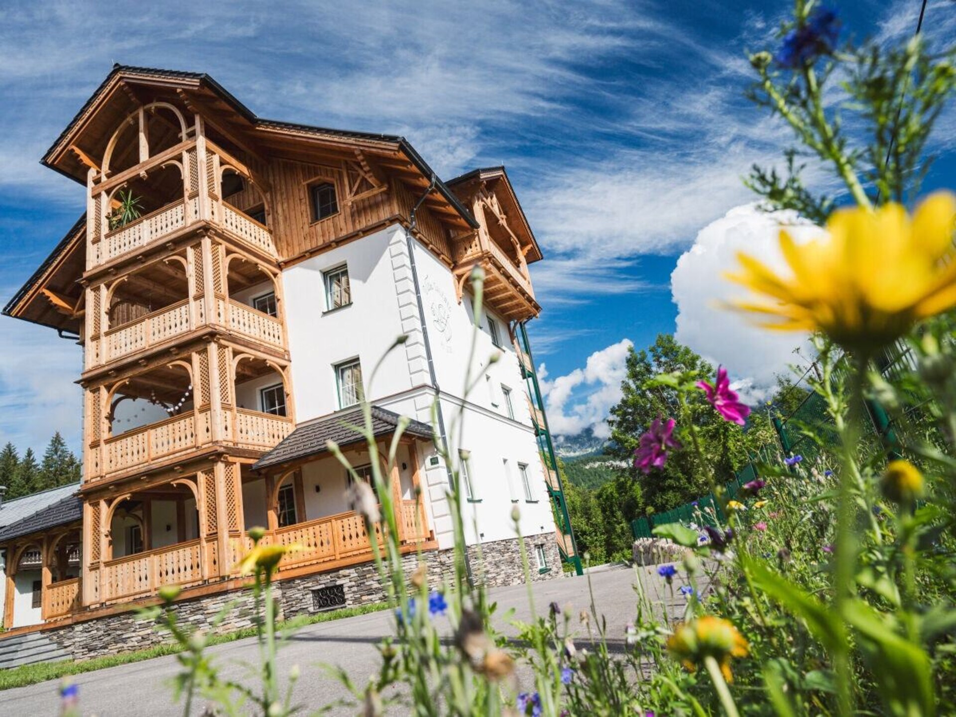 Bergfex in Villa Salzweg: Stijlvol appartement met bergzicht in Bad Goisern - foto 1
