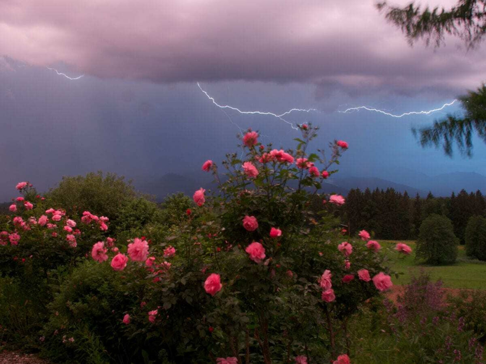 Landelijk jachthuis met Alpenpanorama nabij Penzberg voor 7 personen - foto 8