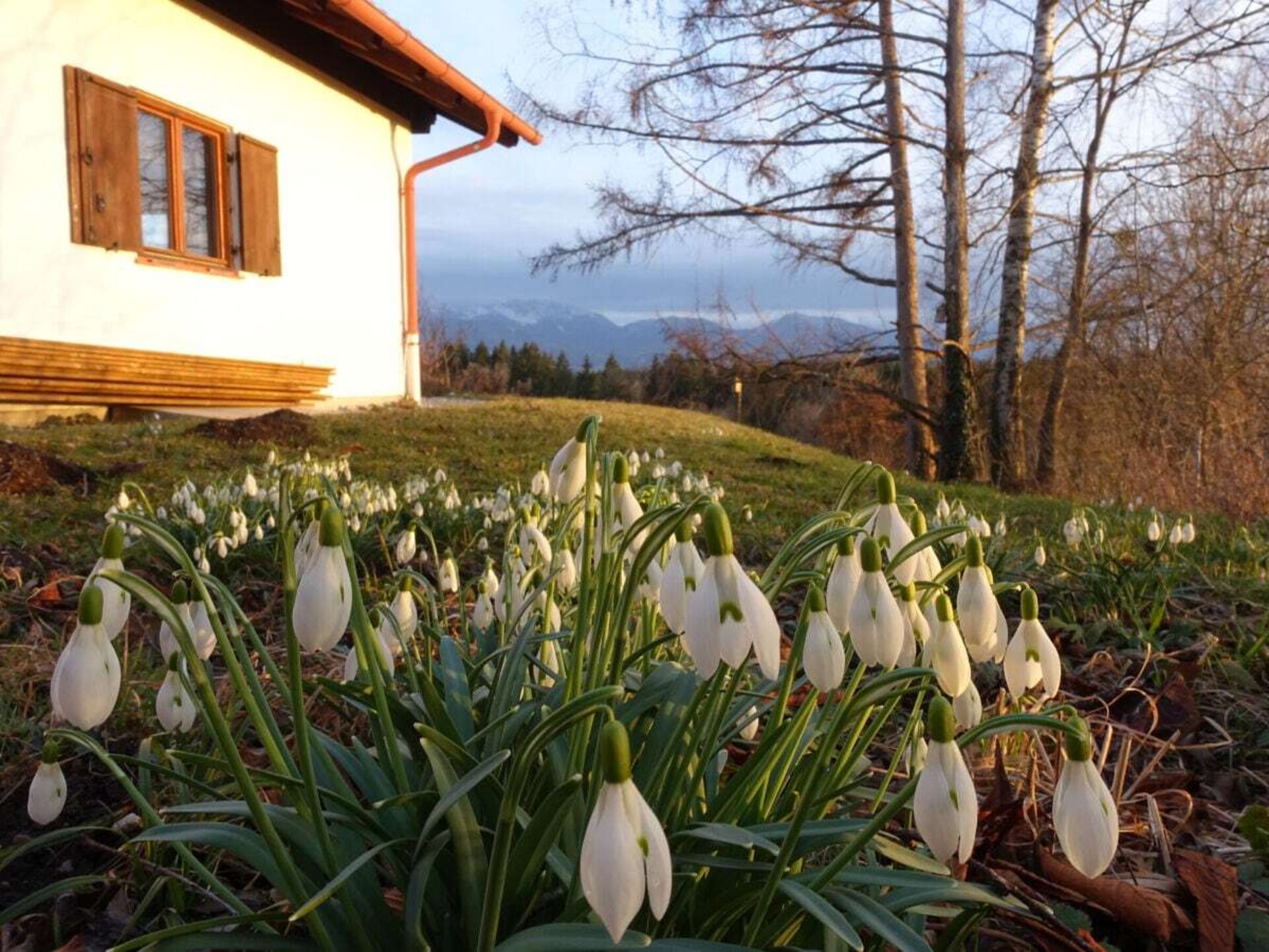 Landelijk jachthuis met Alpenpanorama nabij Penzberg voor 7 personen - foto 14