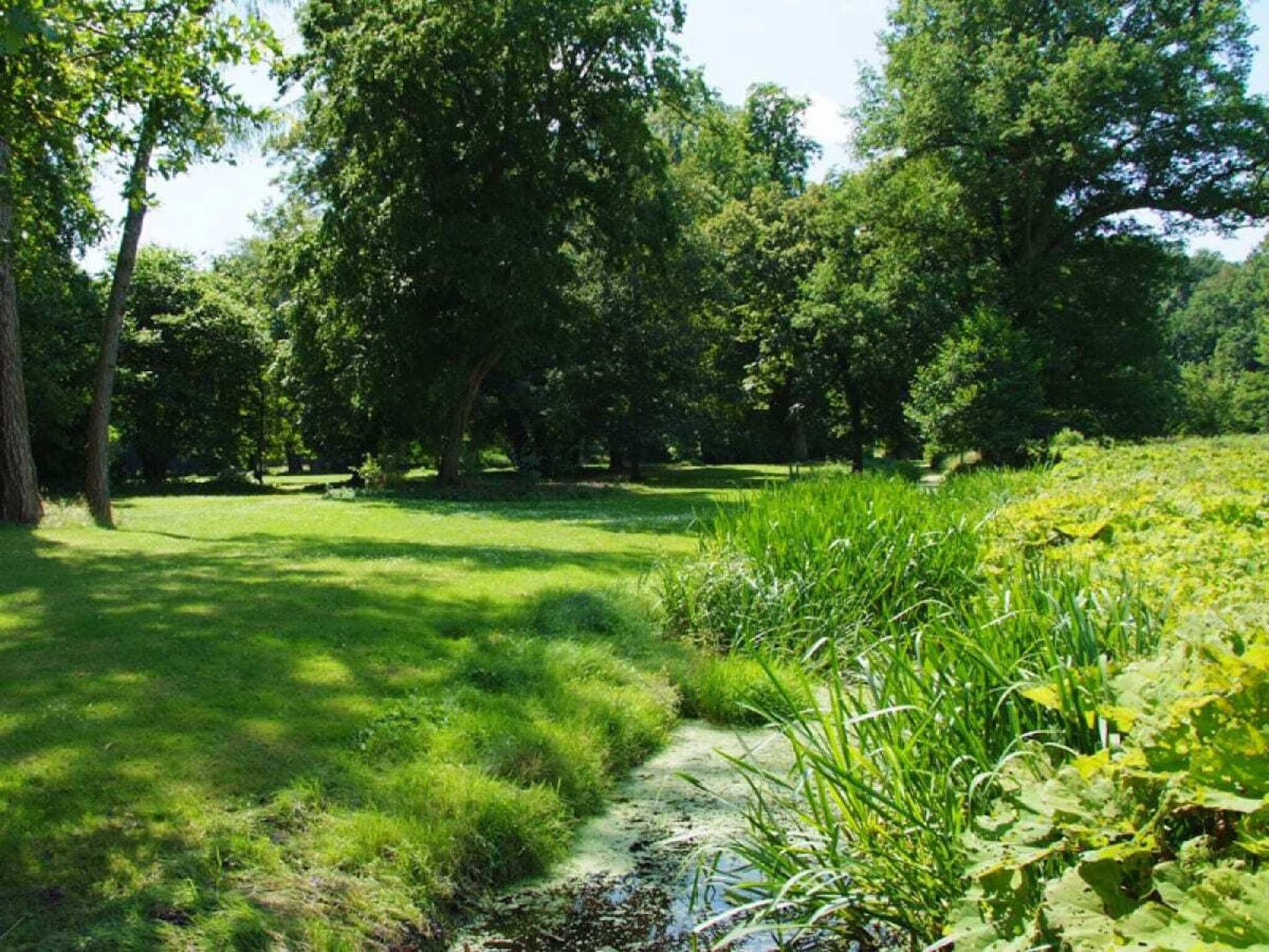 Ruim vakantieappartement voor 5 in monumentaal park bij Berlijn - foto 4