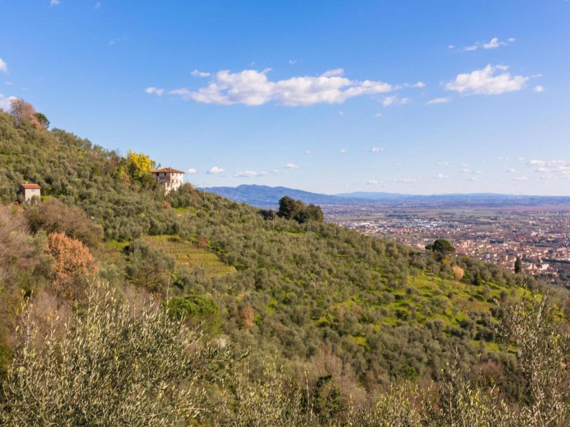 8-persoons vakantiehuis met privézwembad in Pistoia - foto 40