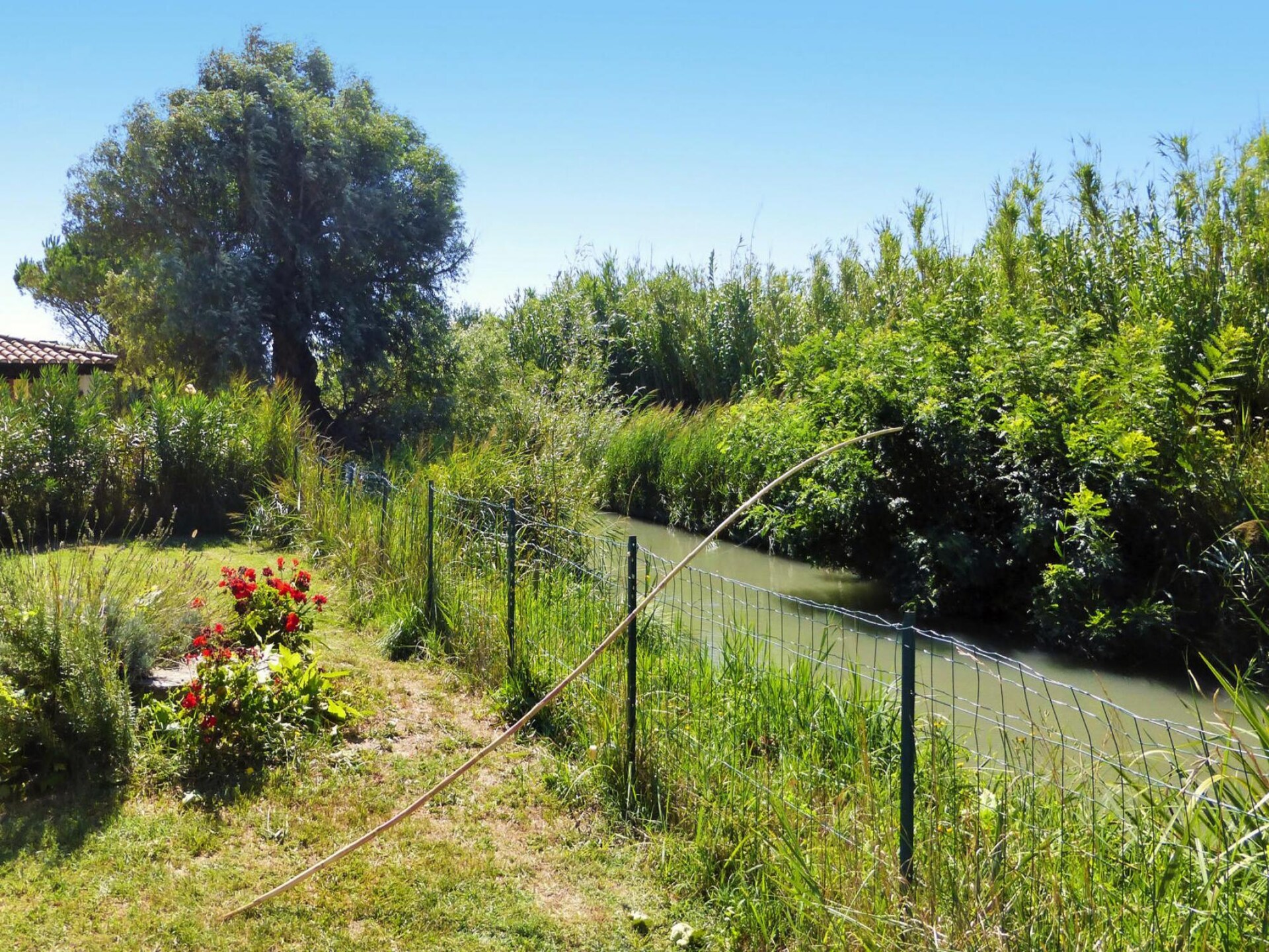 Vrijstaand vakantiehuis in de Camargue met airco, tuin en huisdieren welkom - foto 15