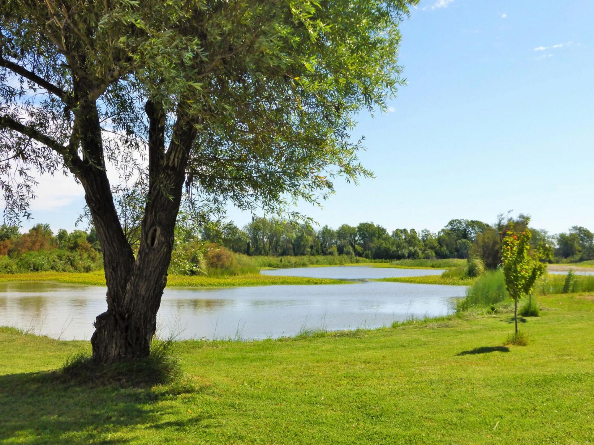 Vrijstaand vakantiehuis in de Camargue met airco, tuin en huisdieren welkom - foto 16