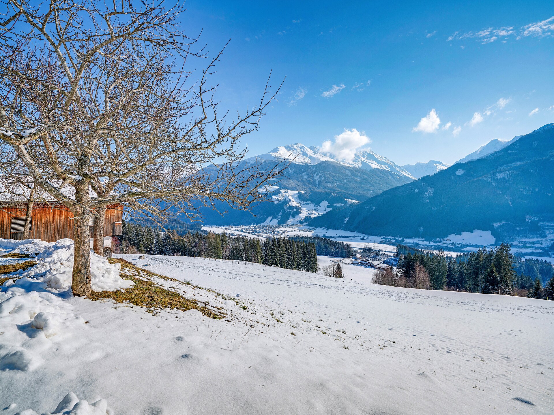 Ruim appartement op boerderij met uitzicht op de Hohe Tauern - foto 31