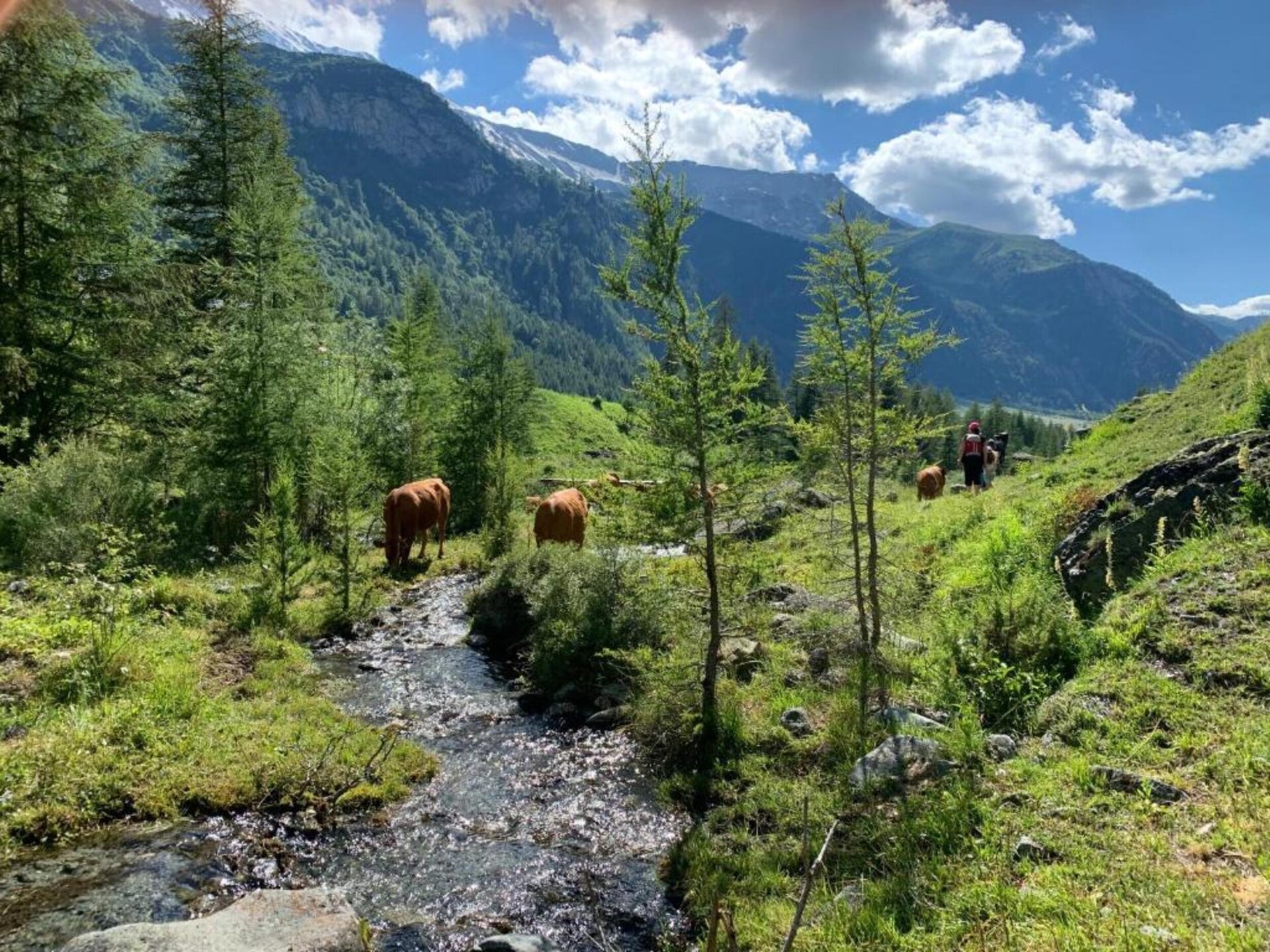 Vrijstaand chalet voor 10 personen in Peisey-Nancroix met gedeelde spa - foto 28