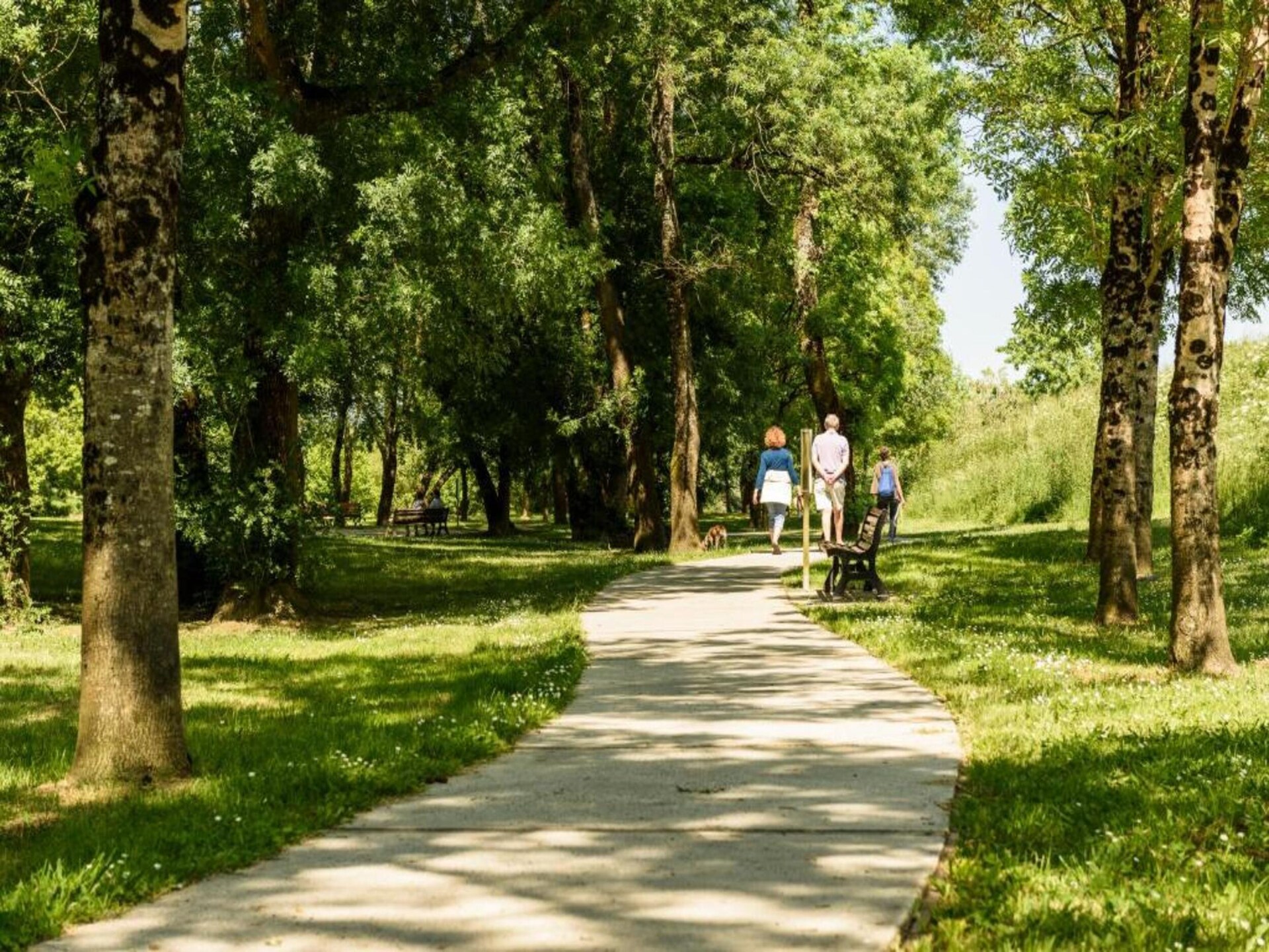 Knusse boshut in Dax: privétuin, golf & wellness op 33 km van zee - foto 35