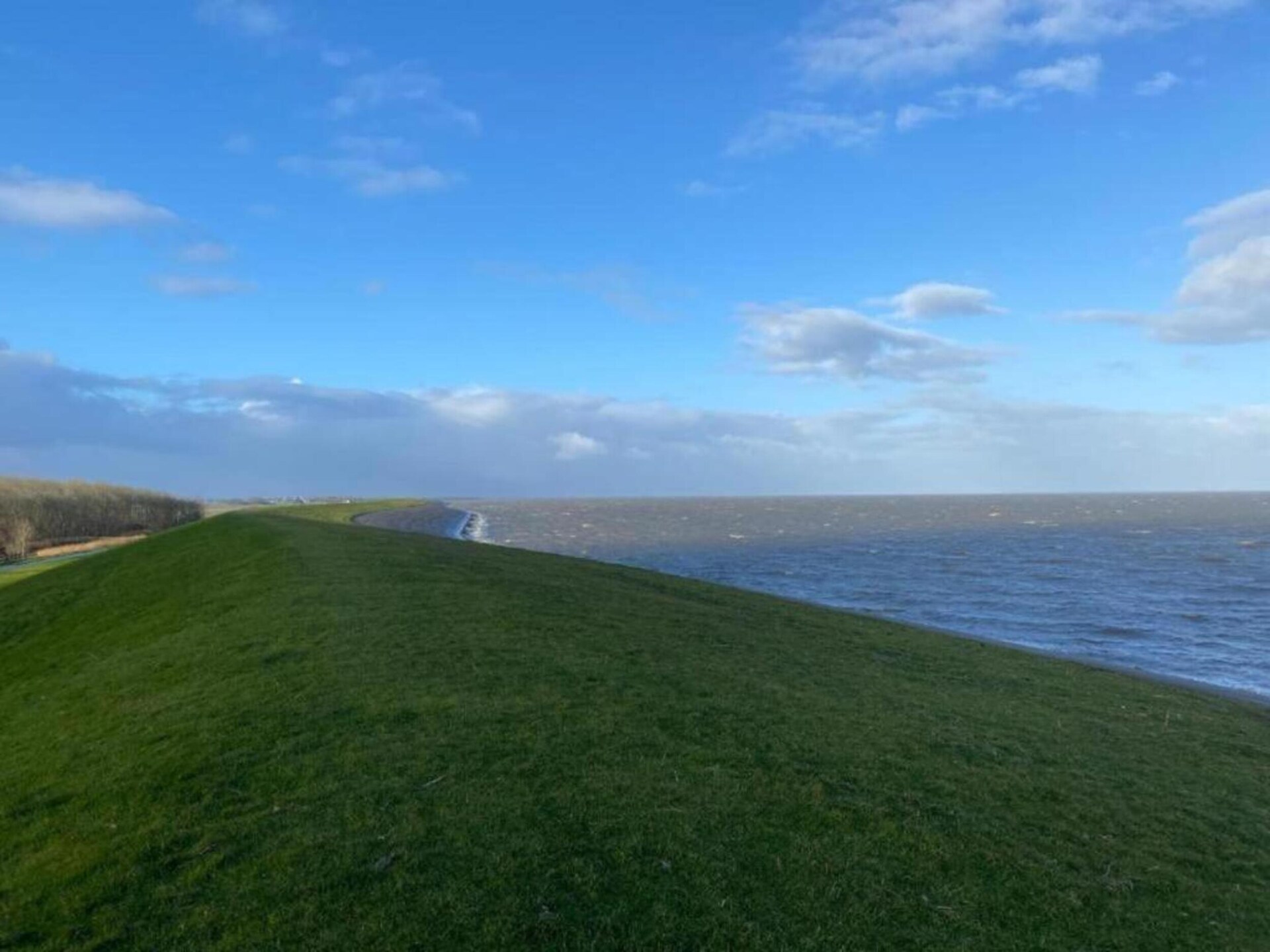 Docklodge 46: Luxe waterside lodge aan het Tjeukemeer in Friesland - foto 14