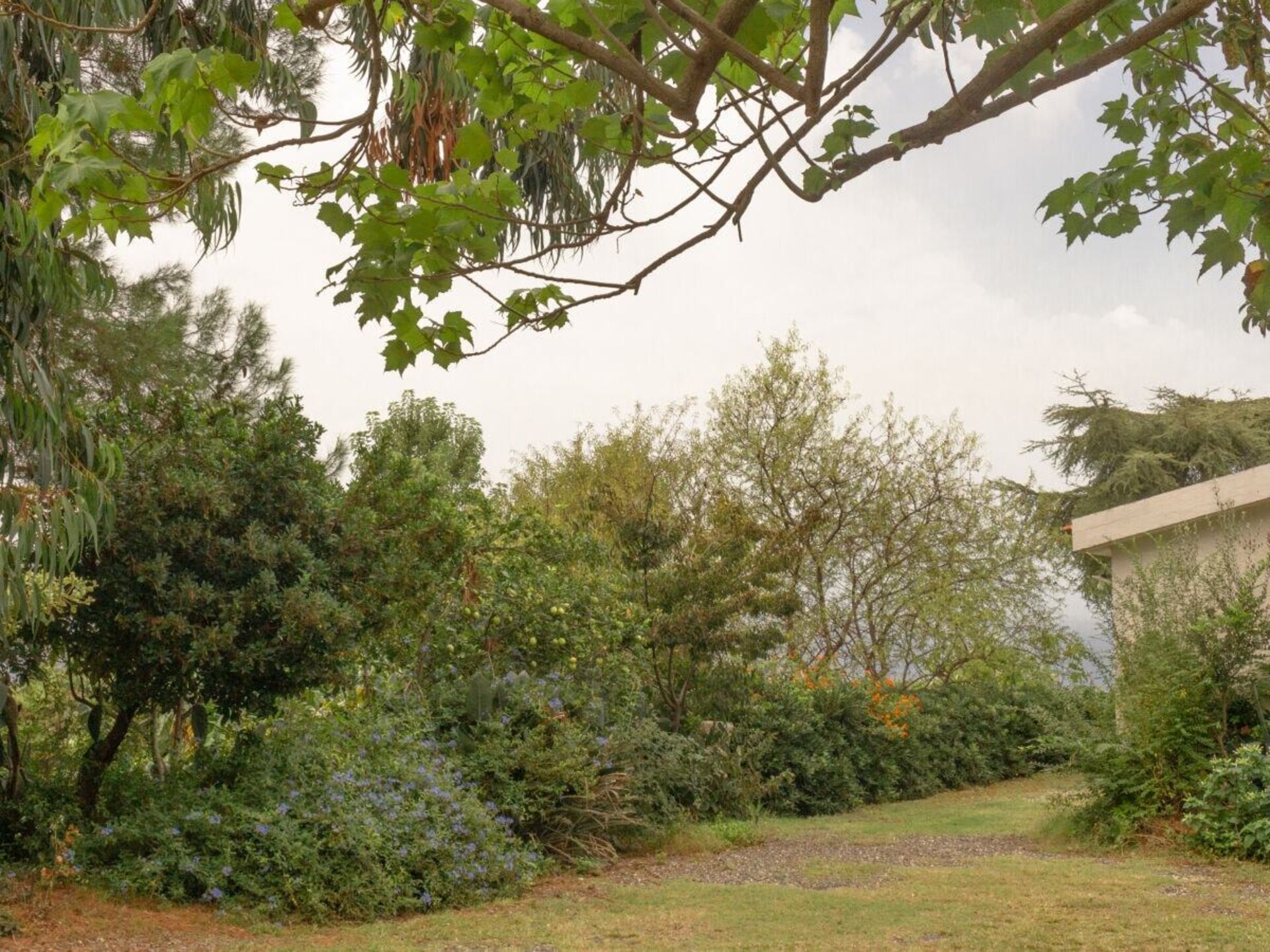 Vakantiehuis Ricadi voor 6 personen met tuin, dicht bij Calabrese kust - foto 8