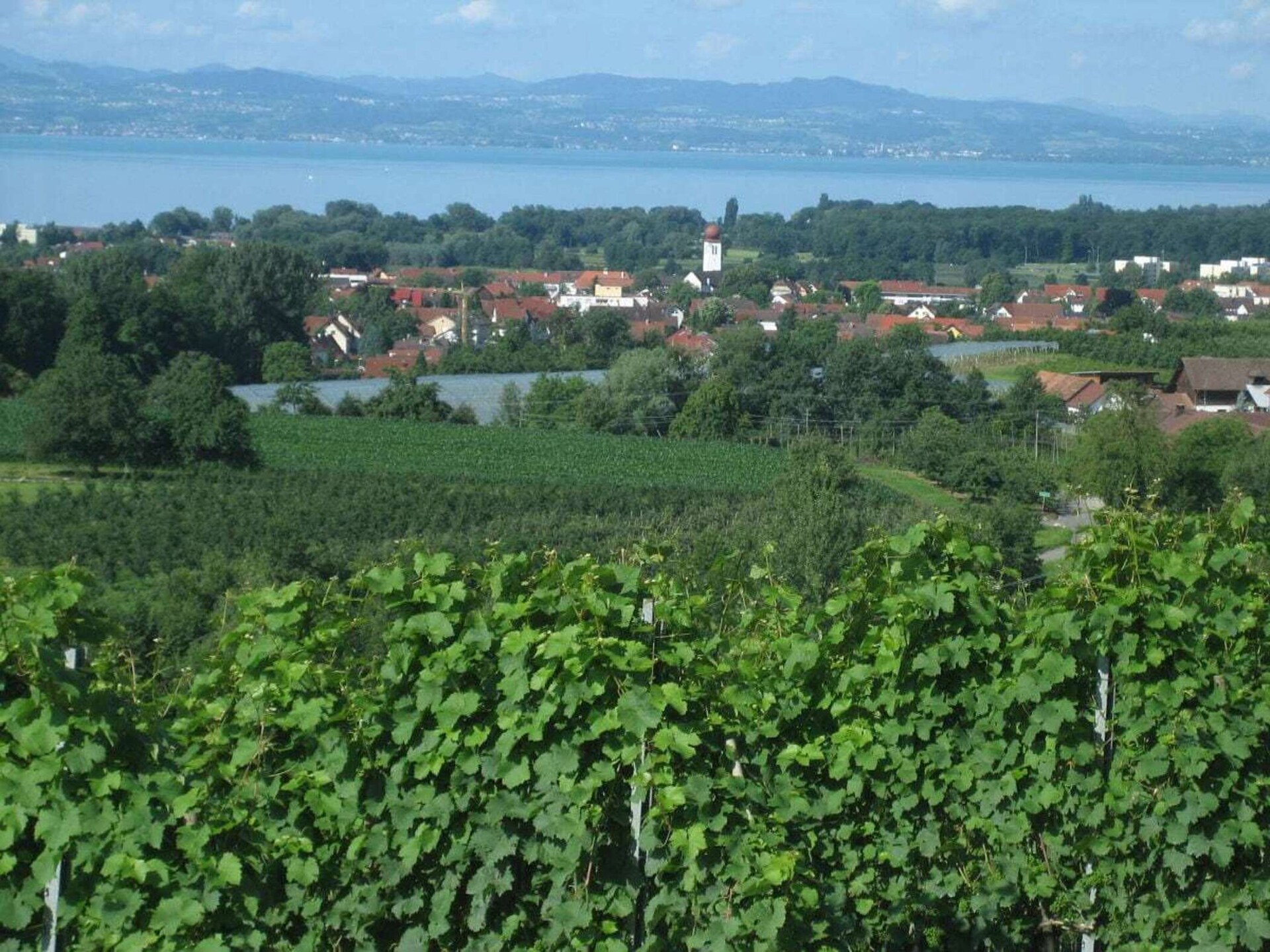 Ruim vakantiehuis voor 5 nabij het centrum van Kressbronn am Bodensee - foto 11