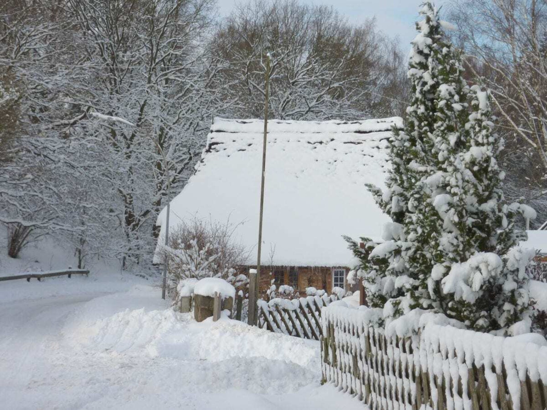 Vakantiehuis voor 6 personen in hartje Seedorf, huisdieren welkom - foto 18