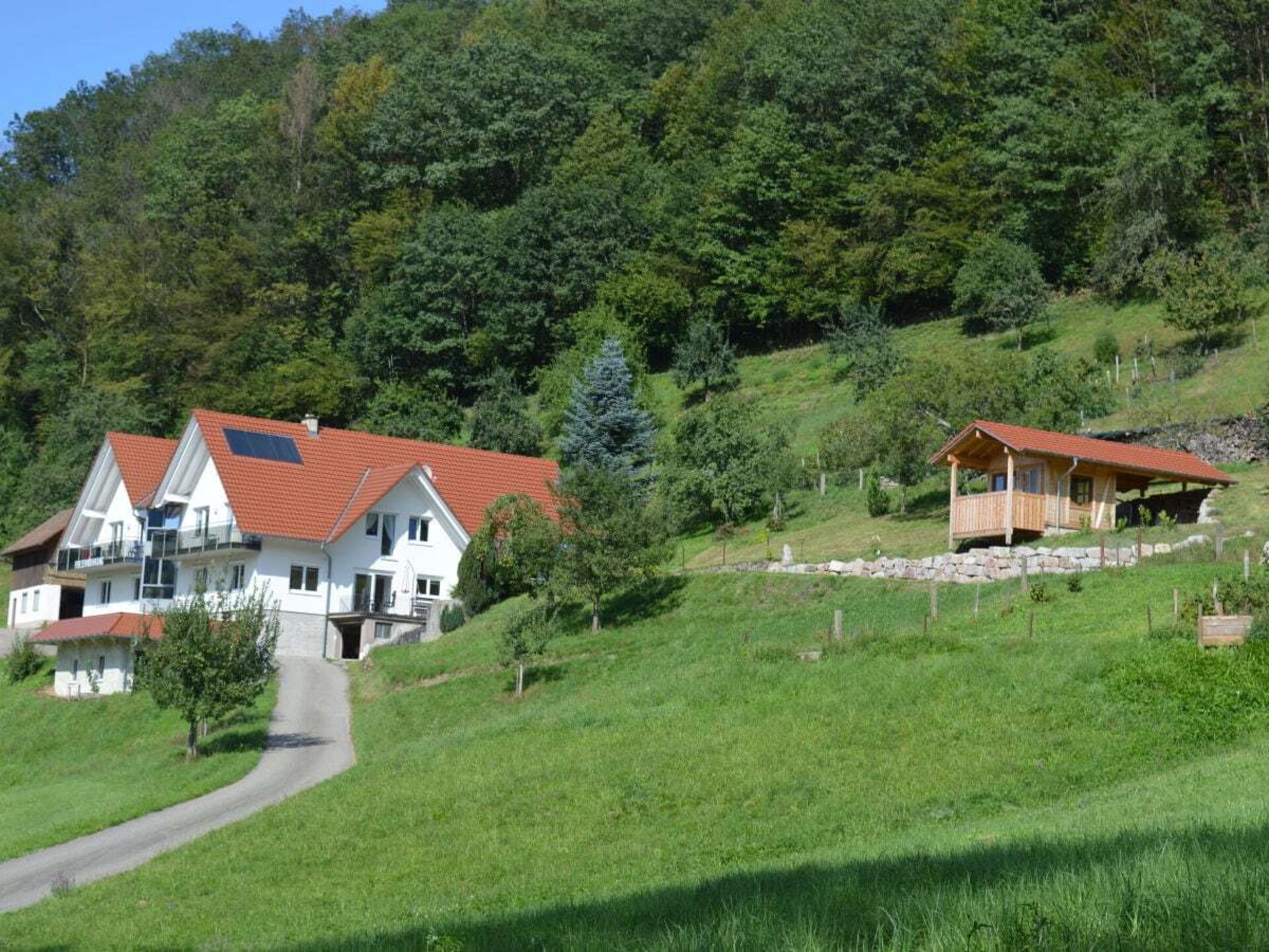 Knus vakantiehuis voor 4 in Oppenau, Zwarte Woud - foto 1