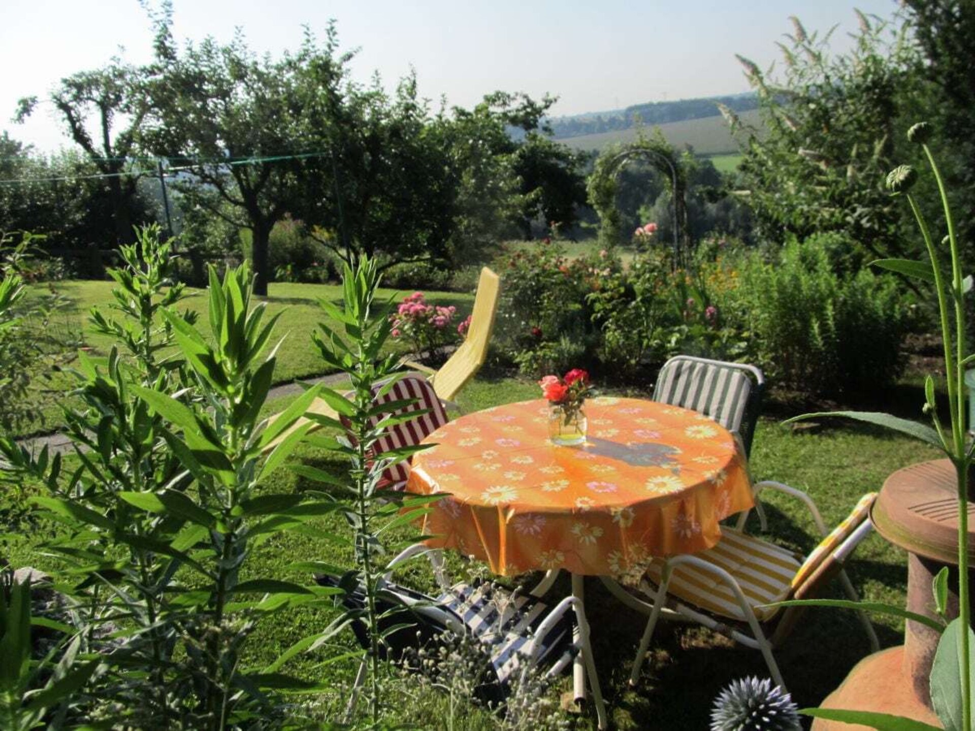 Knus vakantiehuis nabij Dresden – 4 personen, huisdier welkom - foto 8