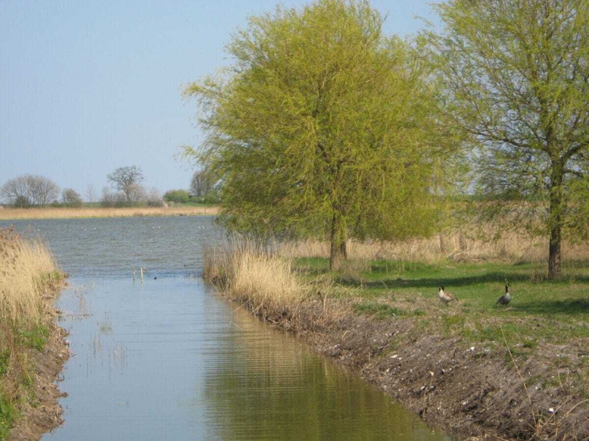 Centraal gelegen vakantiehuis in Hohwacht voor 3 personen - foto 29