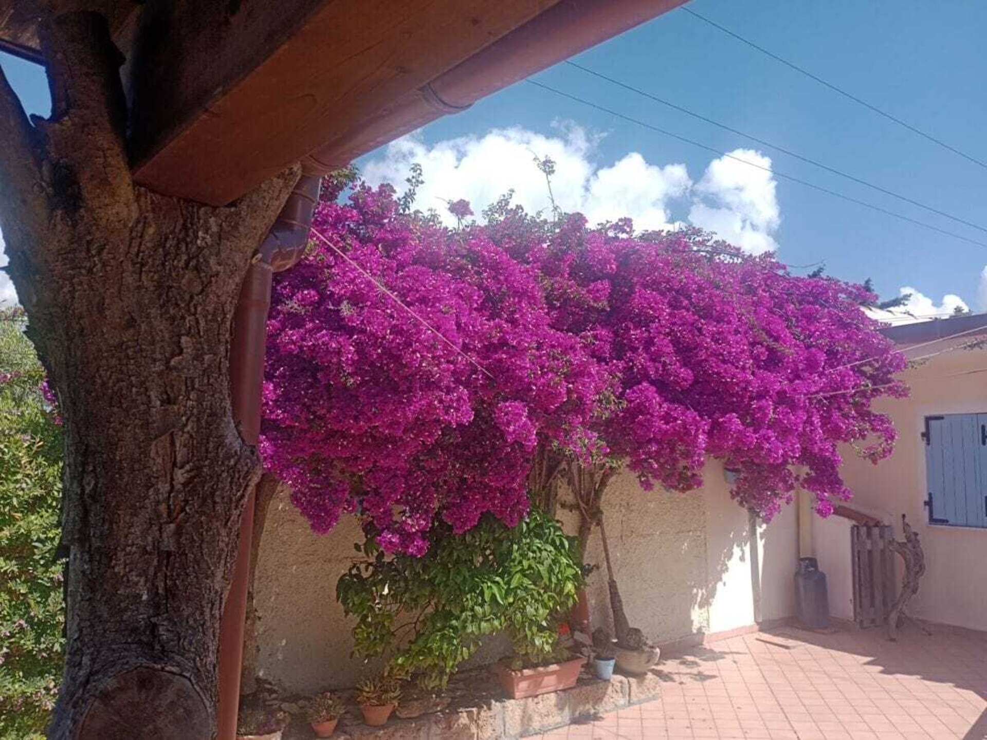 Villa in Alghero, Sardinië: 90m², 5 pers., 2 slaapkamers, wifi, 4km van centrum - foto 14