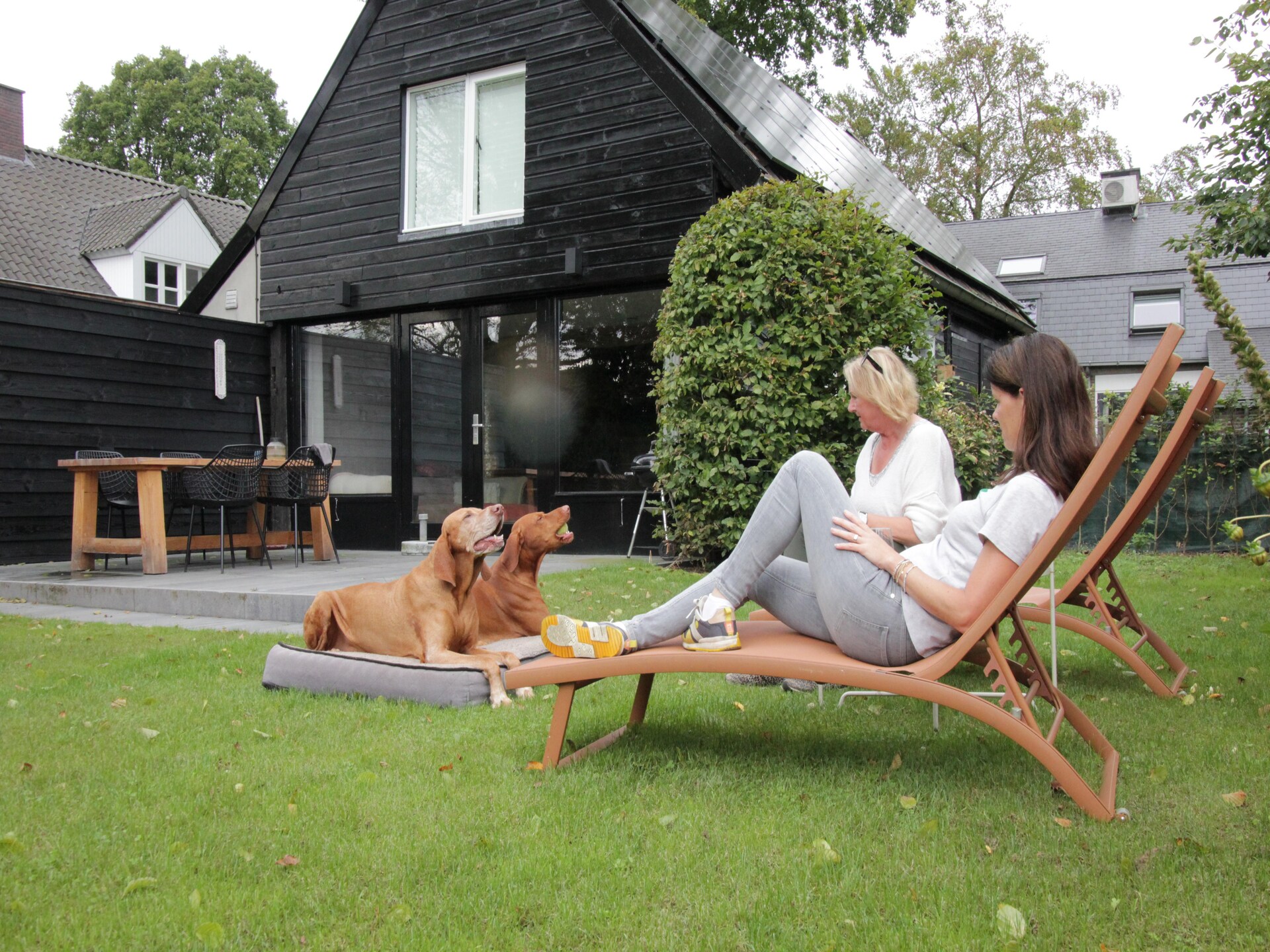 Dorpswoning Op Niveau 4: Vrijstaand vakantiehuis in het bos bij Leende - foto 12