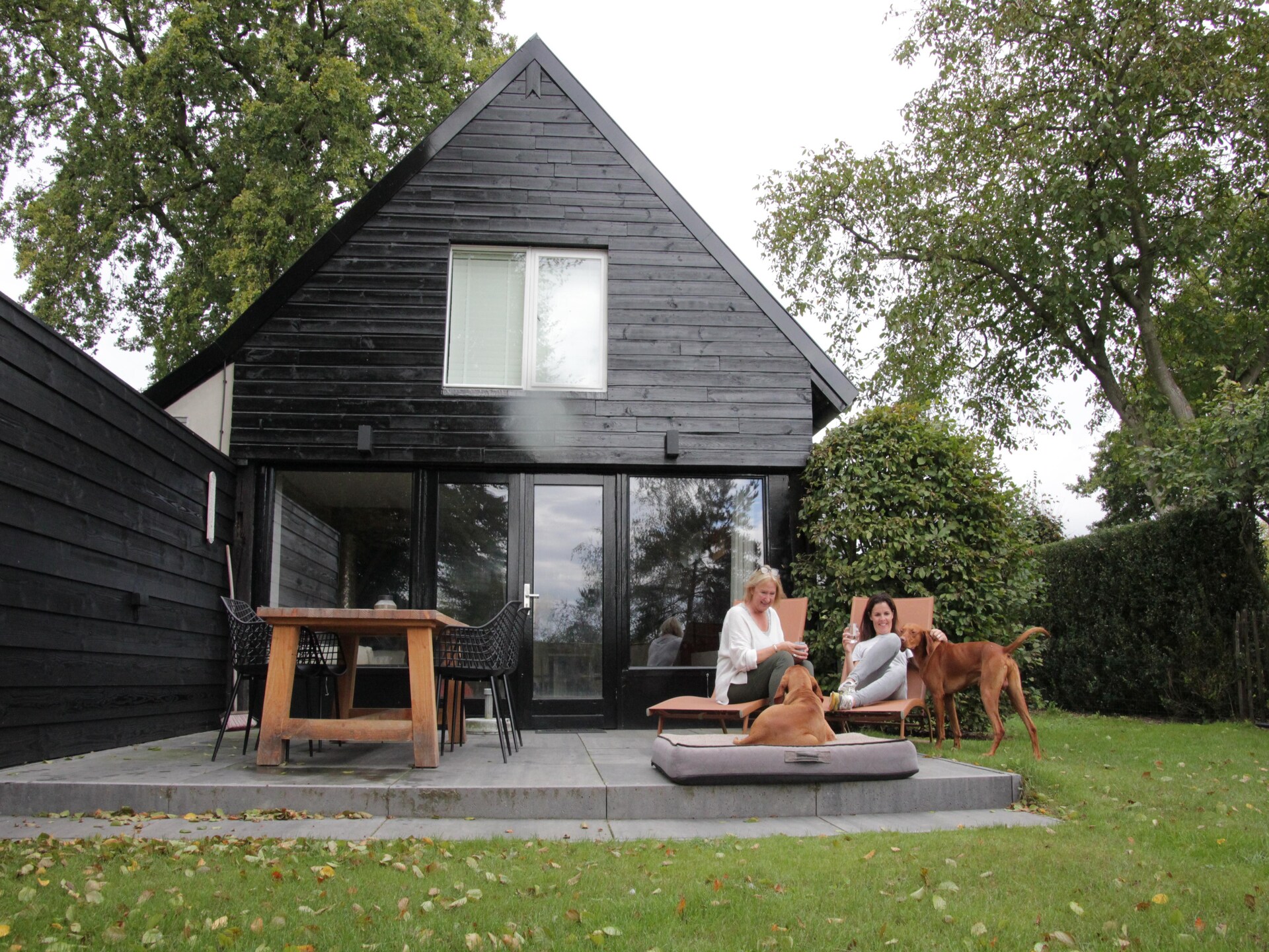 Dorpswoning Op Niveau 4: Vrijstaand vakantiehuis in het bos bij Leende - foto 15