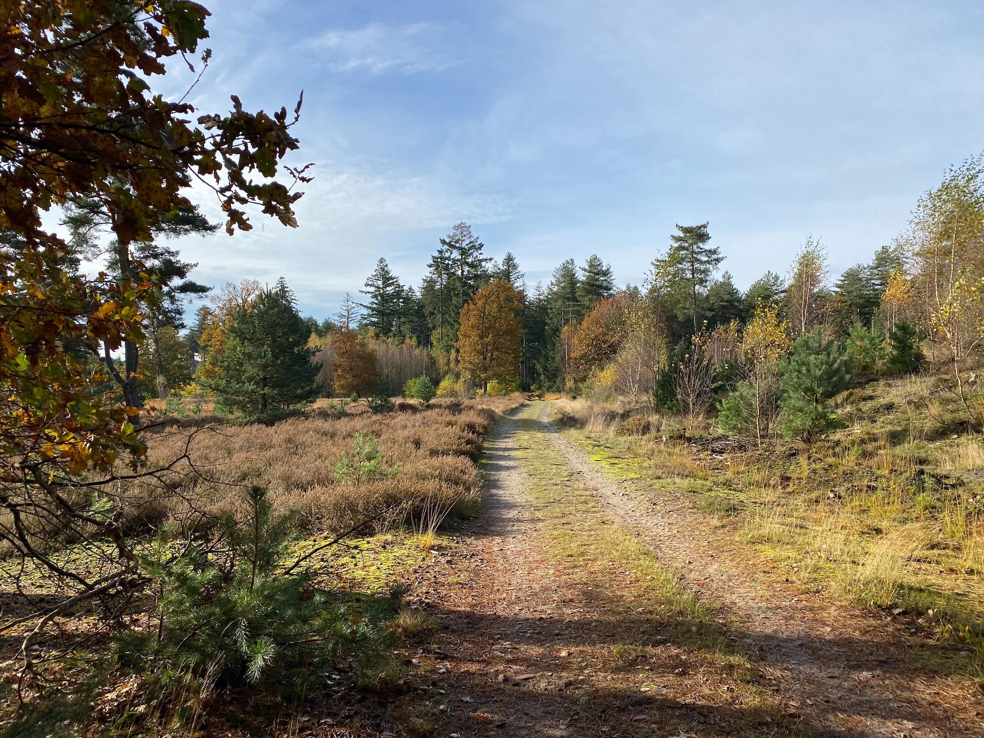 Dorpswoning Op Niveau 4: Vrijstaand vakantiehuis in het bos bij Leende - foto 19