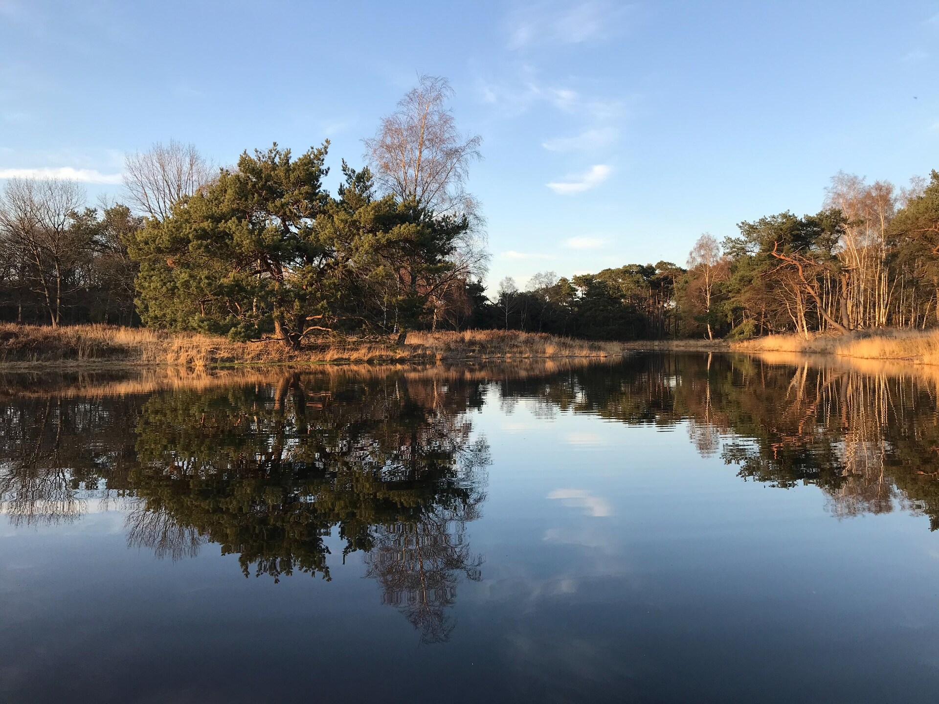 Dorpswoning Op Niveau 4: Vrijstaand vakantiehuis in het bos bij Leende - foto 20