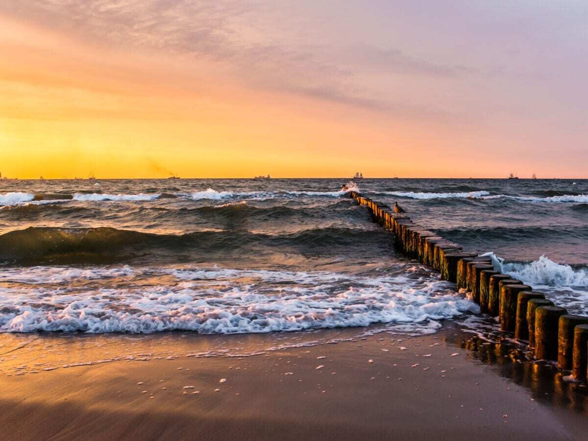 Ruime villa voor 6 personen bij Boltenhagen, 2 km van het strand - foto 29