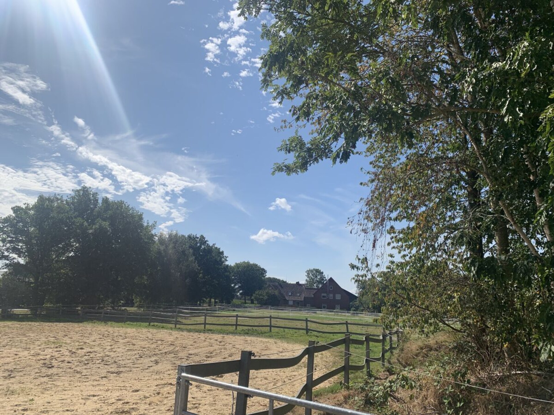 Paardenboerderij met privésauna en omheind terras in Holßel - foto 3