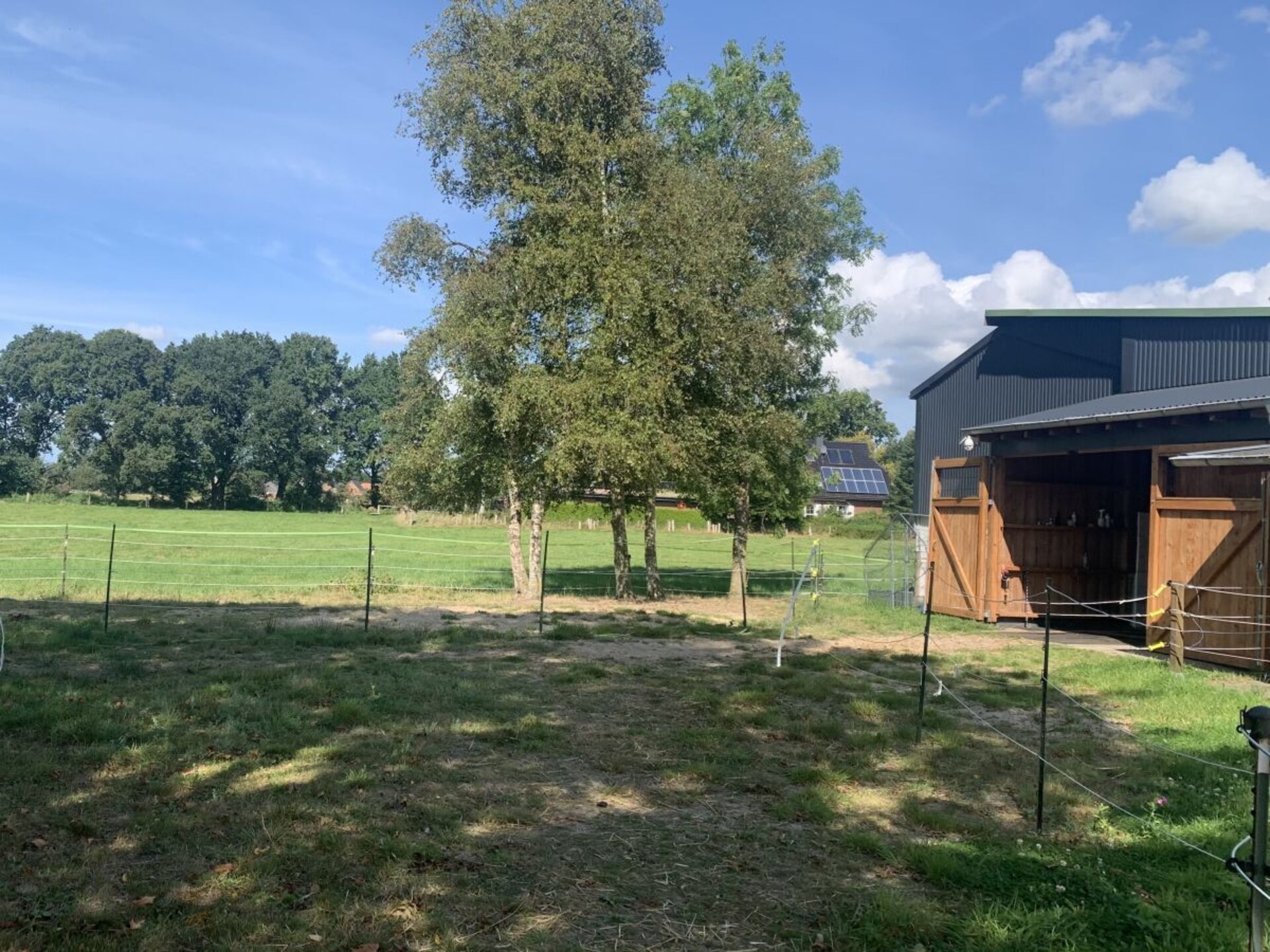 Paardenboerderij met privésauna en omheind terras in Holßel - foto 4