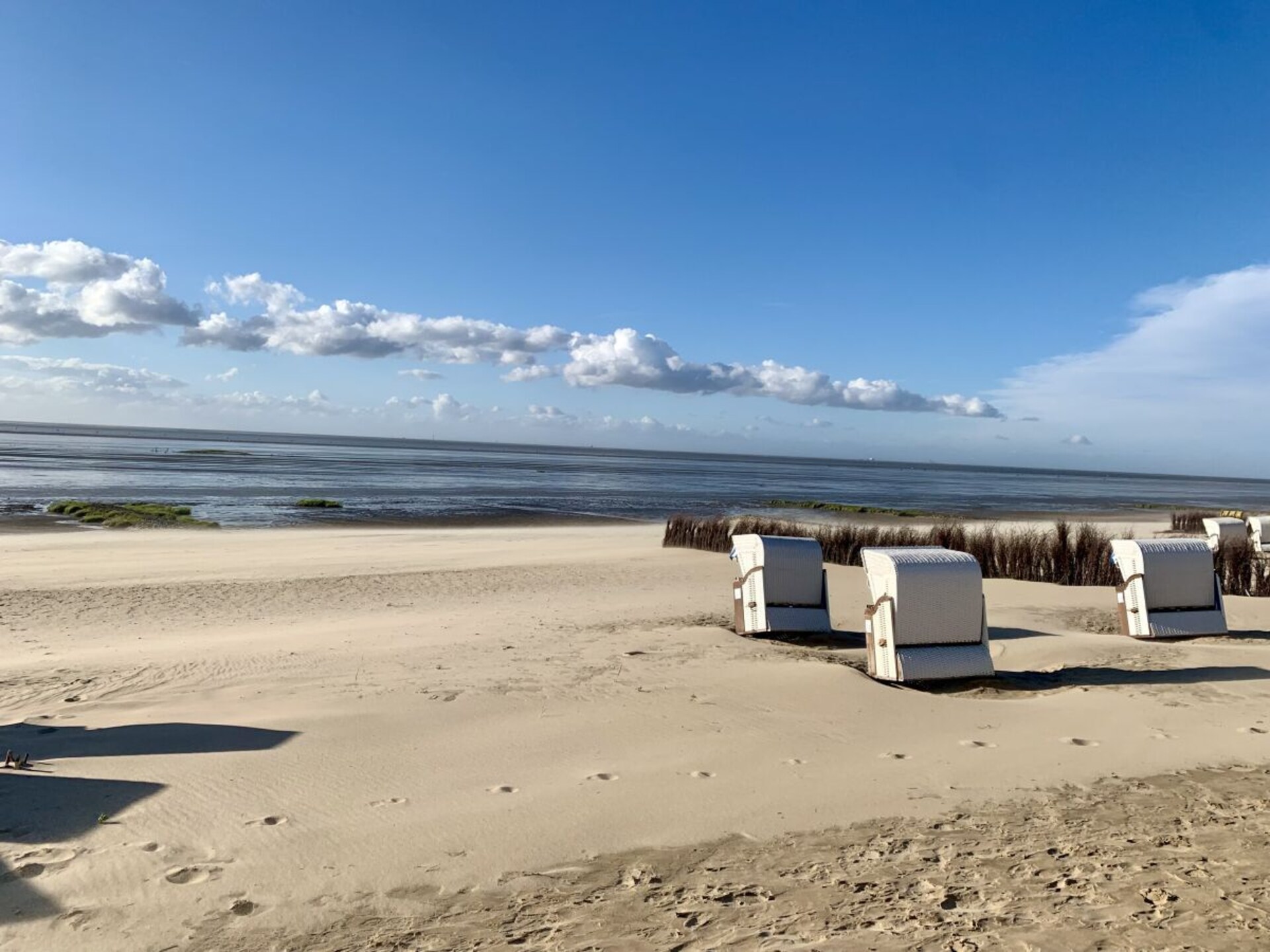 Paardenboerderij met privésauna en omheind terras in Holßel - foto 22