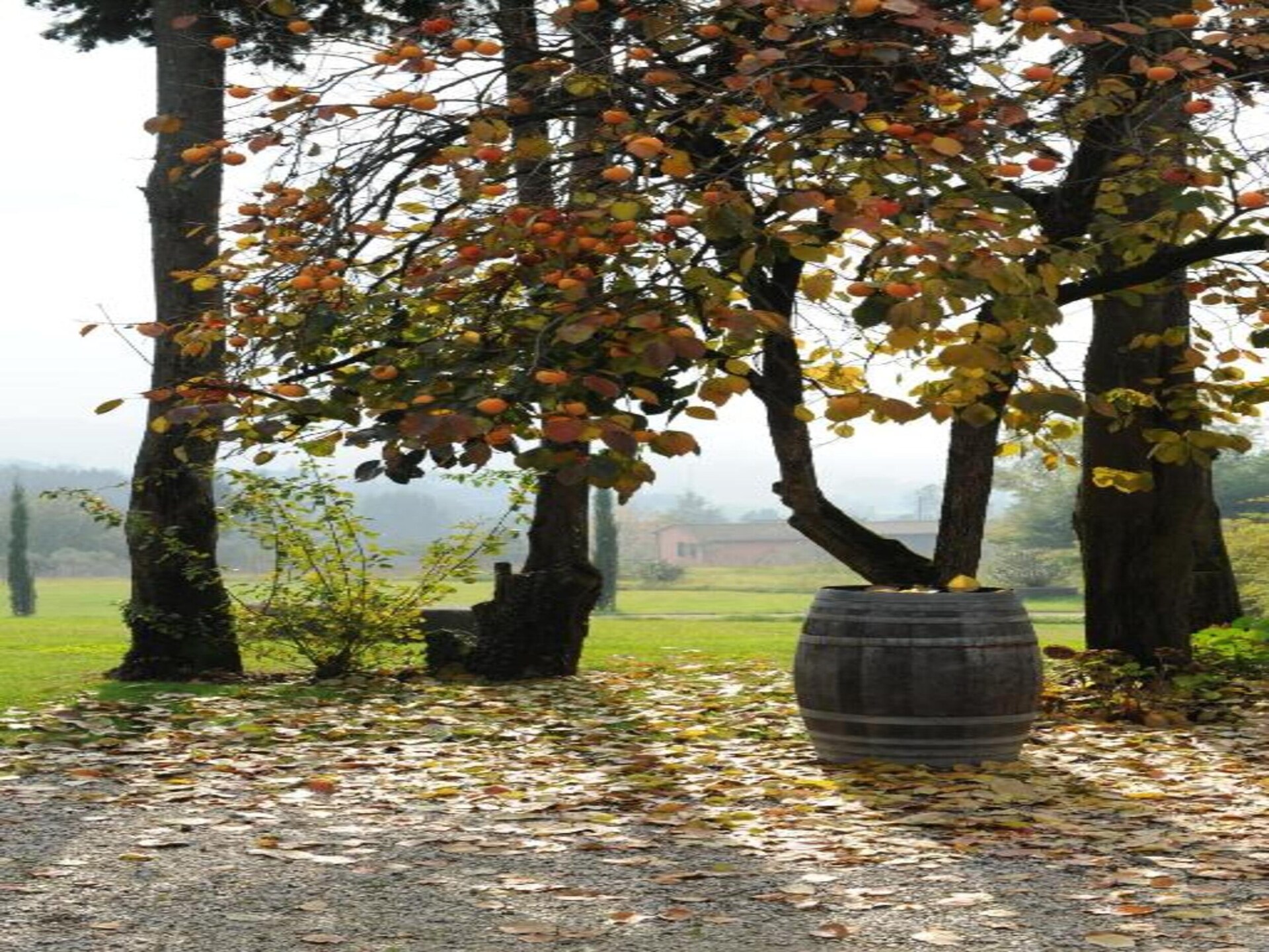 Vrijstaand Toscaans landhuis met omheinde tuin bij Bagni di Lucca - foto 40