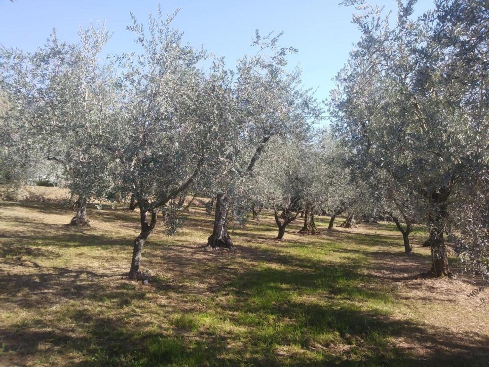 Vrijstaand Toscaans landhuis met omheinde tuin bij Bagni di Lucca - foto 28