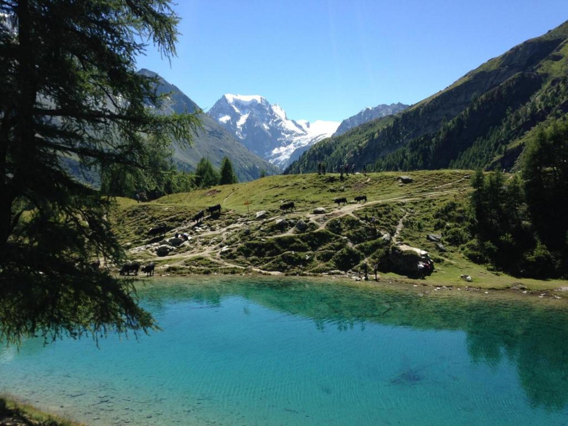 Chalet aan het meer en de piste in Thyon-Les Collons voor 14 personen - foto 23