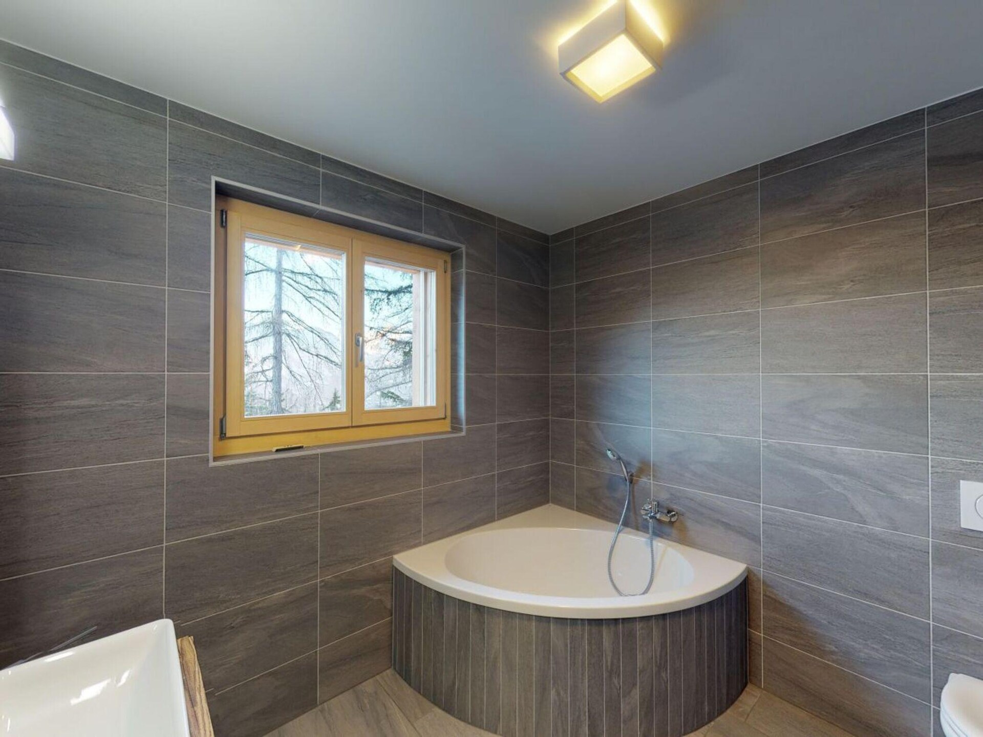 Luxe appartement voor 18 personen direct aan de skipiste in WALI - foto 29
