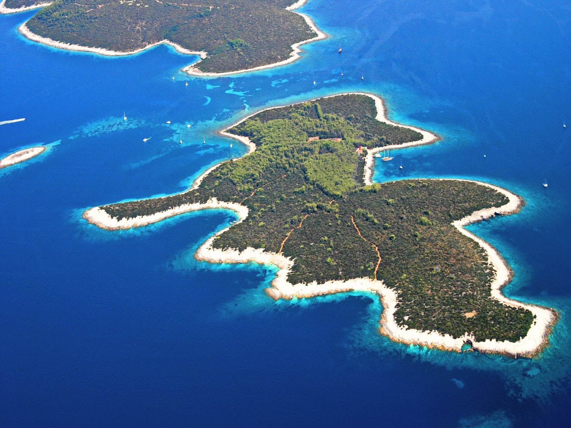 Holiday Home Bili Žal: Zeezicht vakantiehuis op 10 meter van zee in Vela Luka - foto 22
