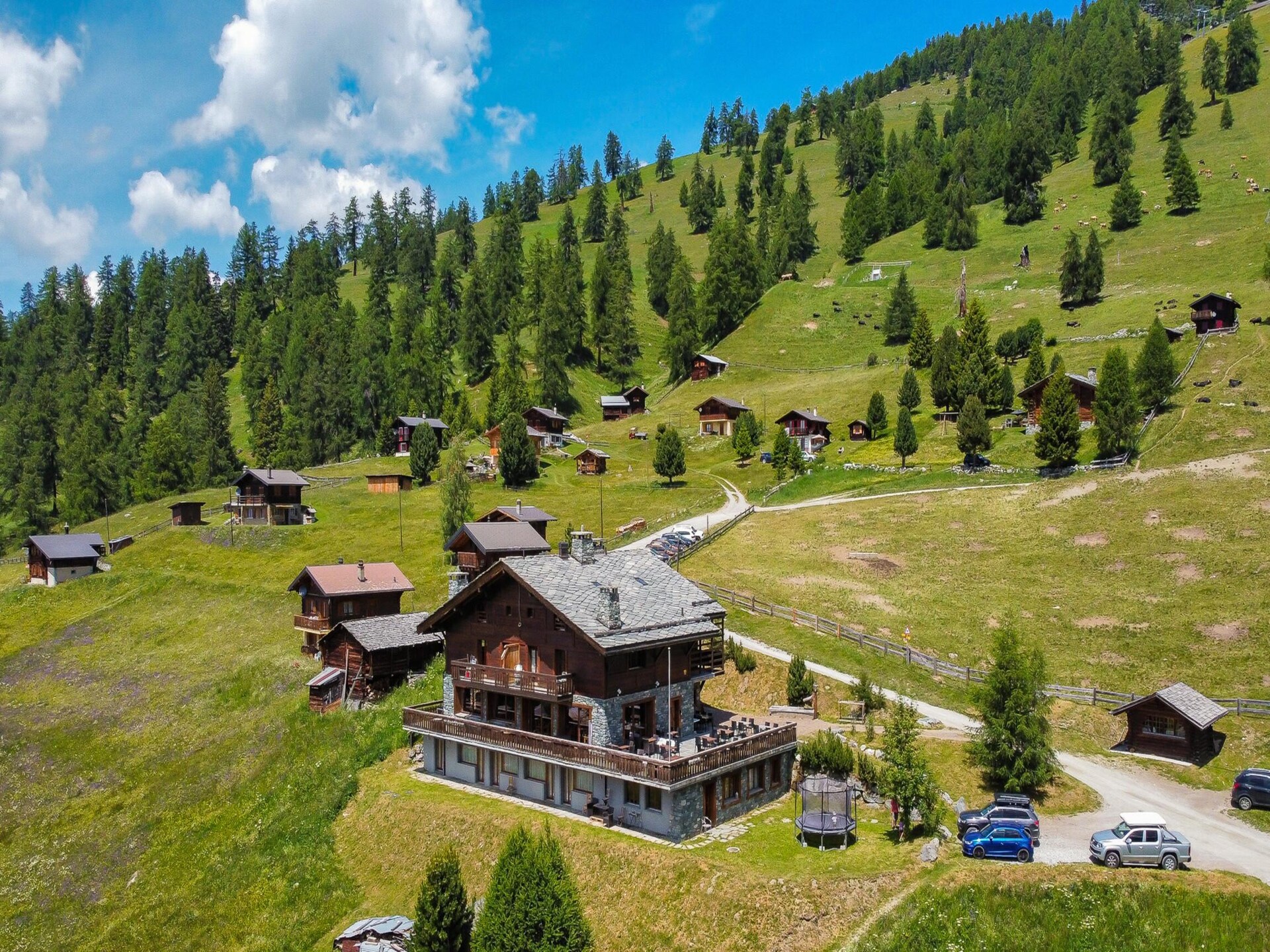 Chalet Des Alpes 004: Direct aan de piste voor 16 personen in WALI - foto 29