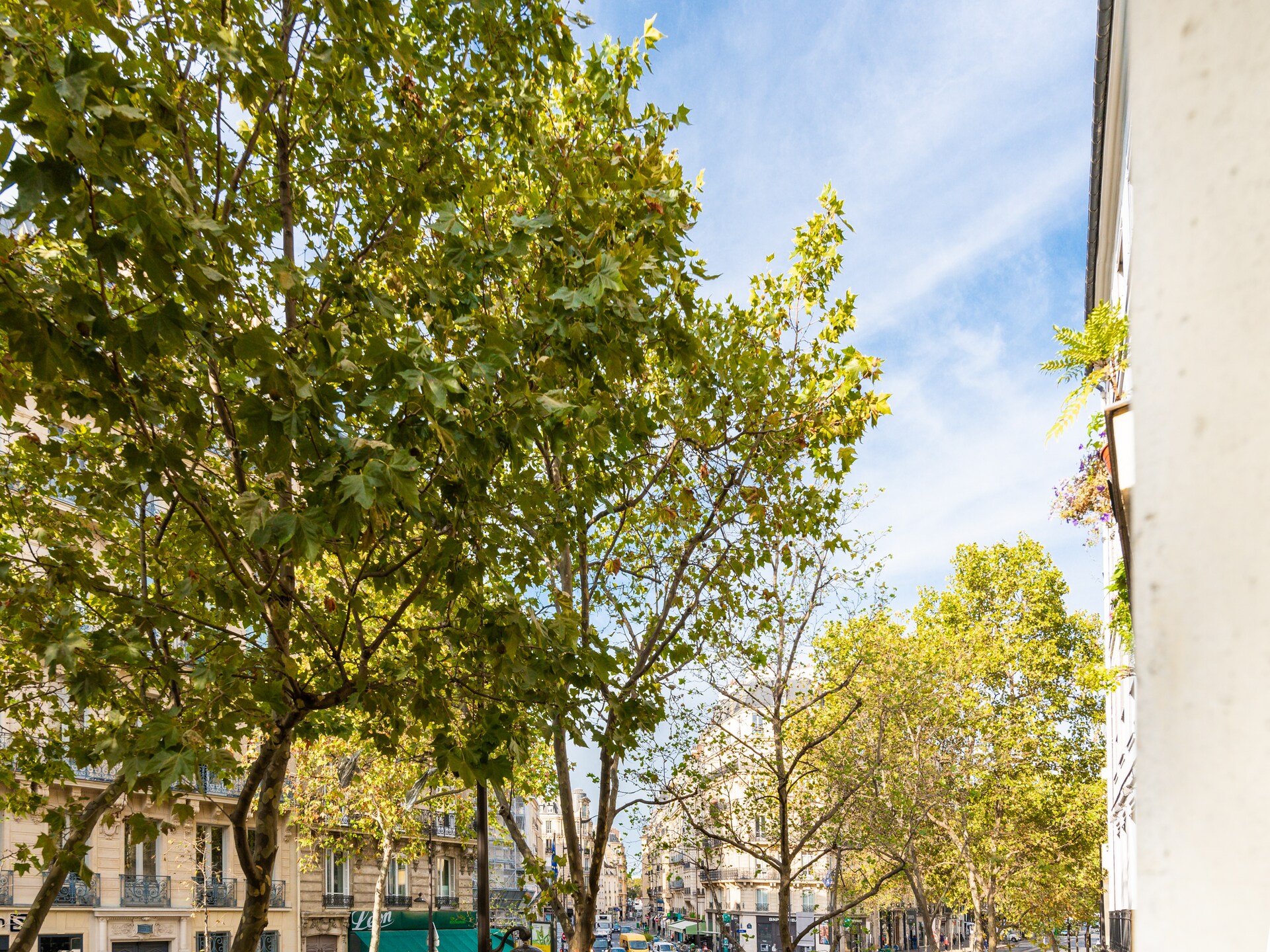 Elegant appartement in Saint-Germain-des-Prés, vlakbij Jardin du Luxembourg - foto 12
