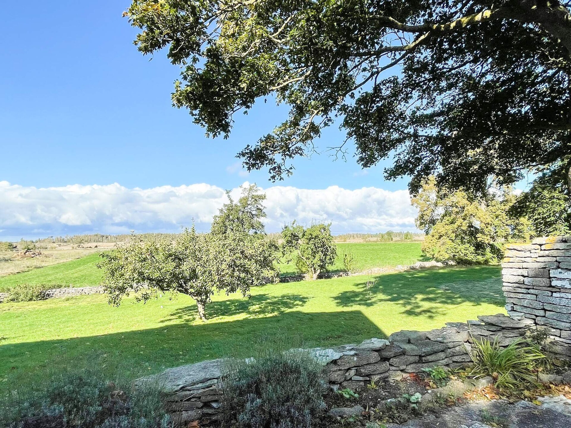 Modern vakantiehuis in Mörbylånga aan de kust van Öland - foto 11