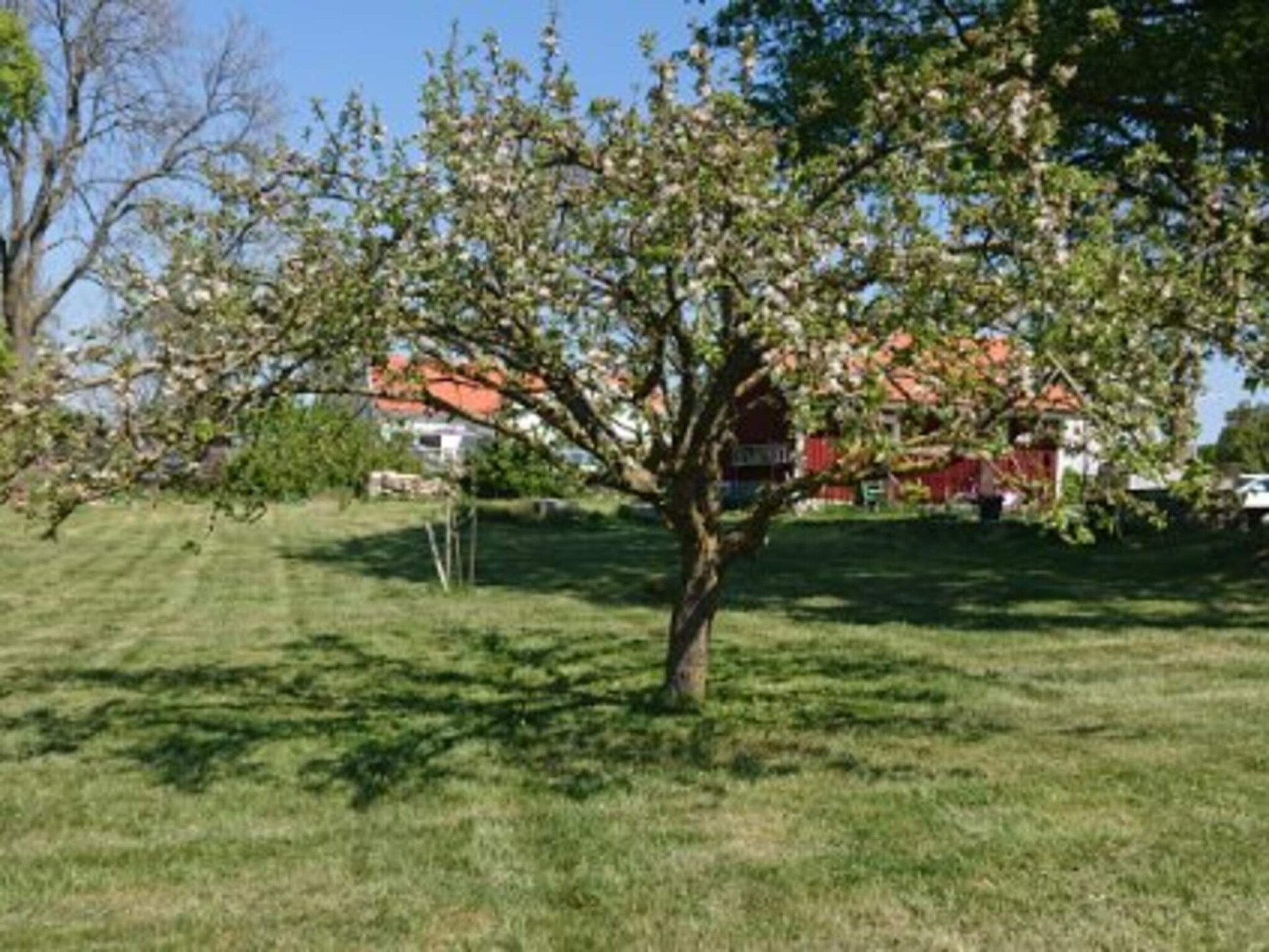 Modern vakantiehuis in Mörbylånga aan de kust van Öland - foto 13