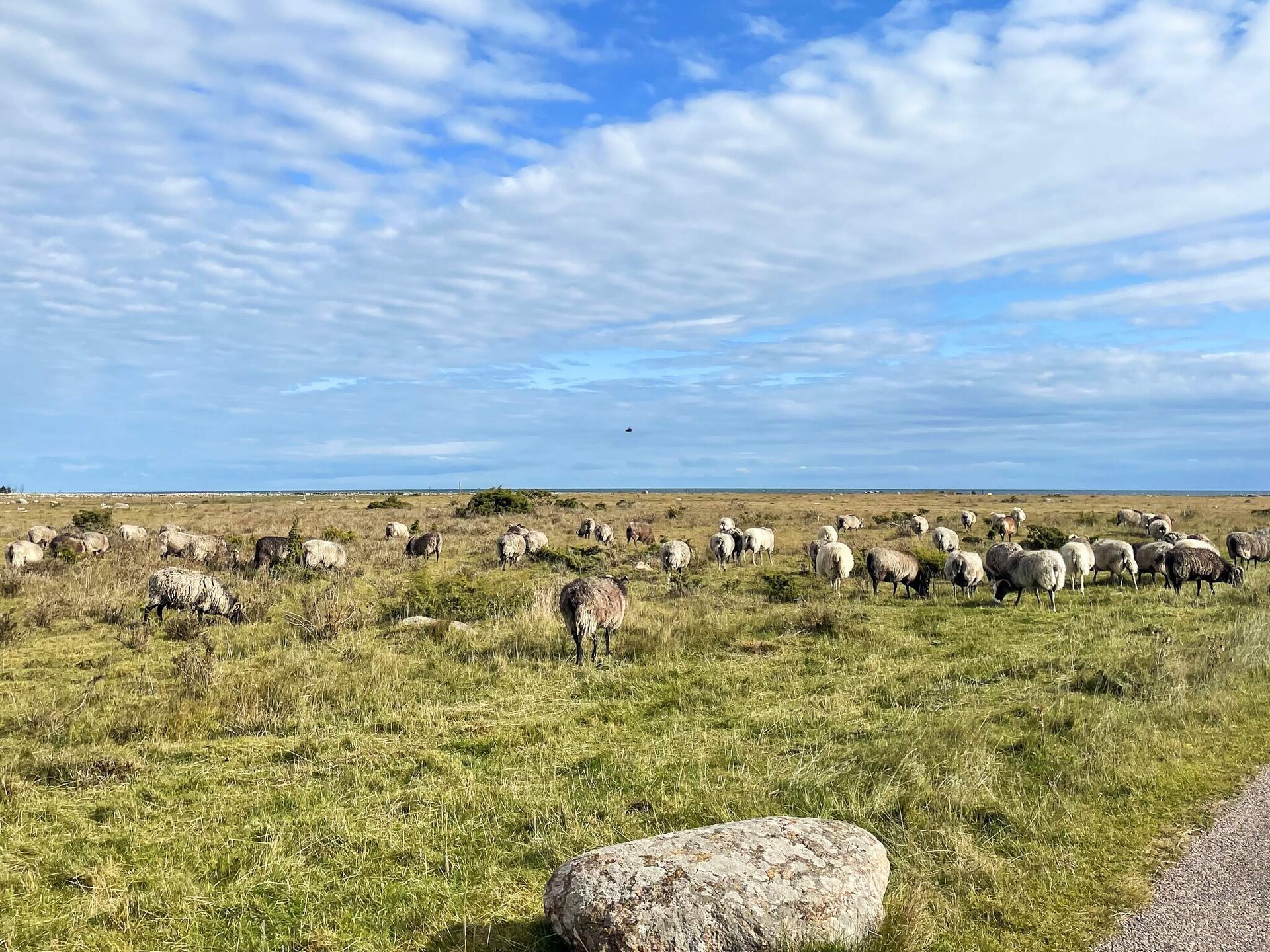Modern vakantiehuis in Mörbylånga aan de kust van Öland - foto 16
