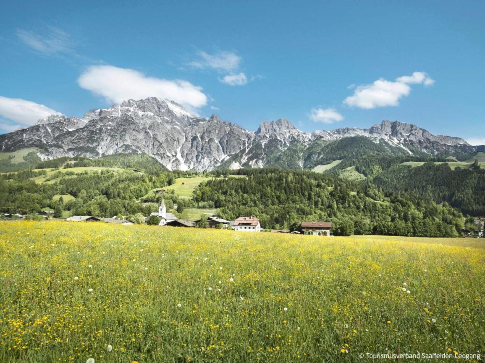 Licht appartement Schnurr-Bartl met panoramisch uitzicht in Saalfelden - foto 33