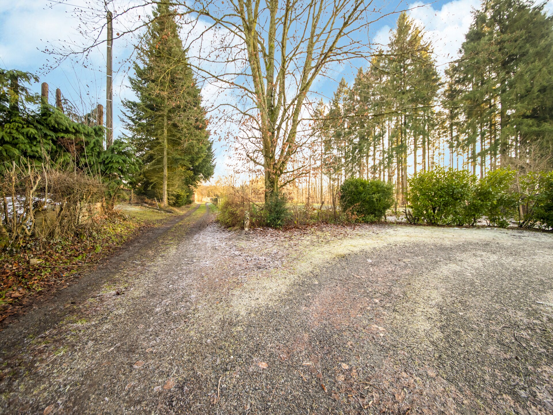 Romantisch wellnesshuis in de bossen van Awenne met infraroodsauna - foto 32