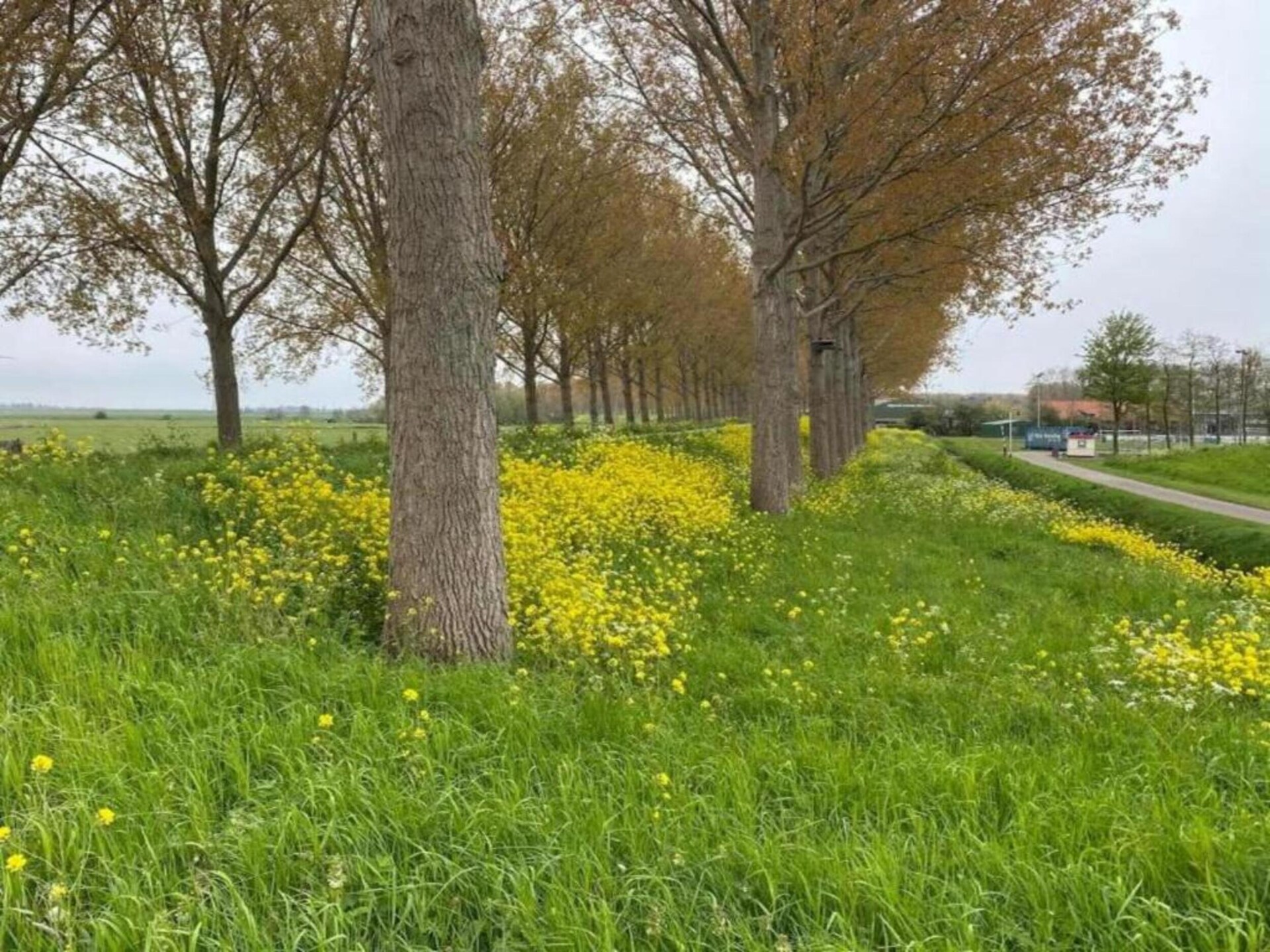 Vrijstaand vakantiehuis aan het water met eigen aanlegsteiger in Simonshaven - foto 33