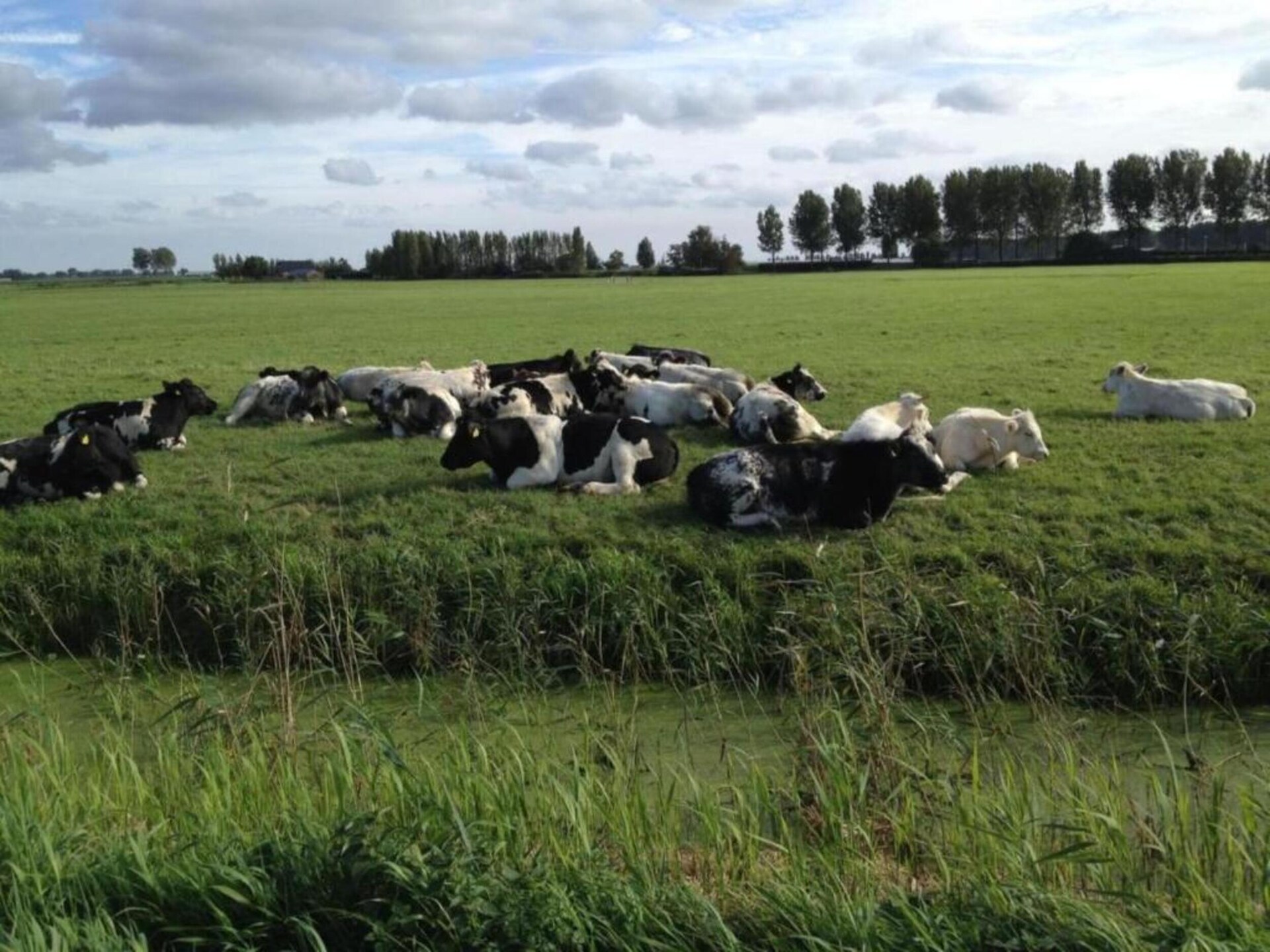 Vrijstaand vakantiehuis aan het water met eigen aanlegsteiger in Simonshaven - foto 22