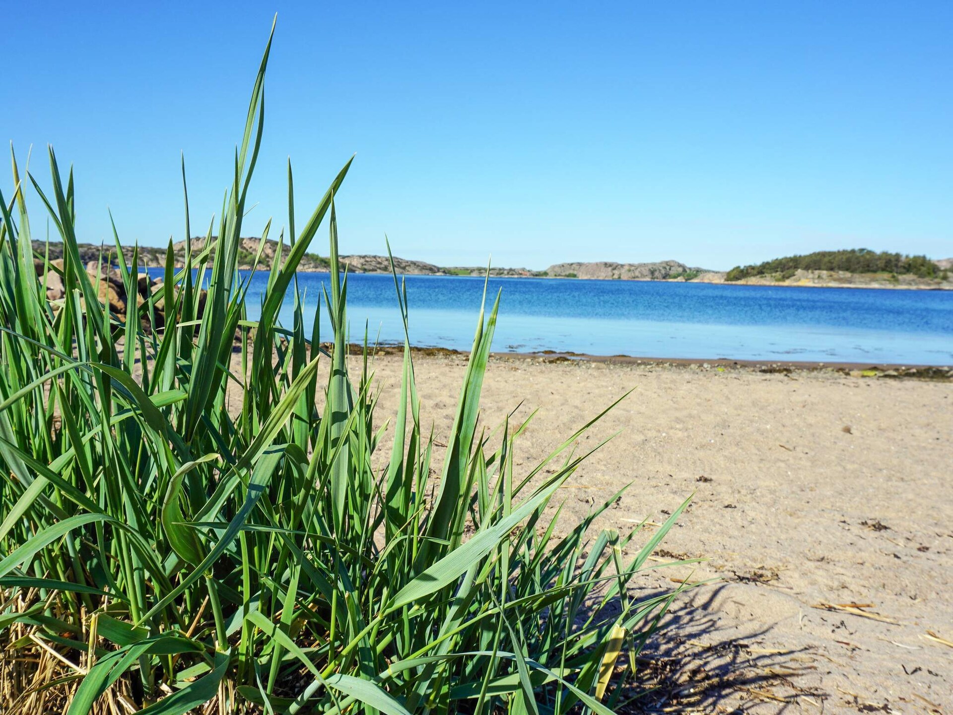 Knus vakantiehuis in Fjällbacka: natuur, rust en Zweedse kust op 3 km - foto 16