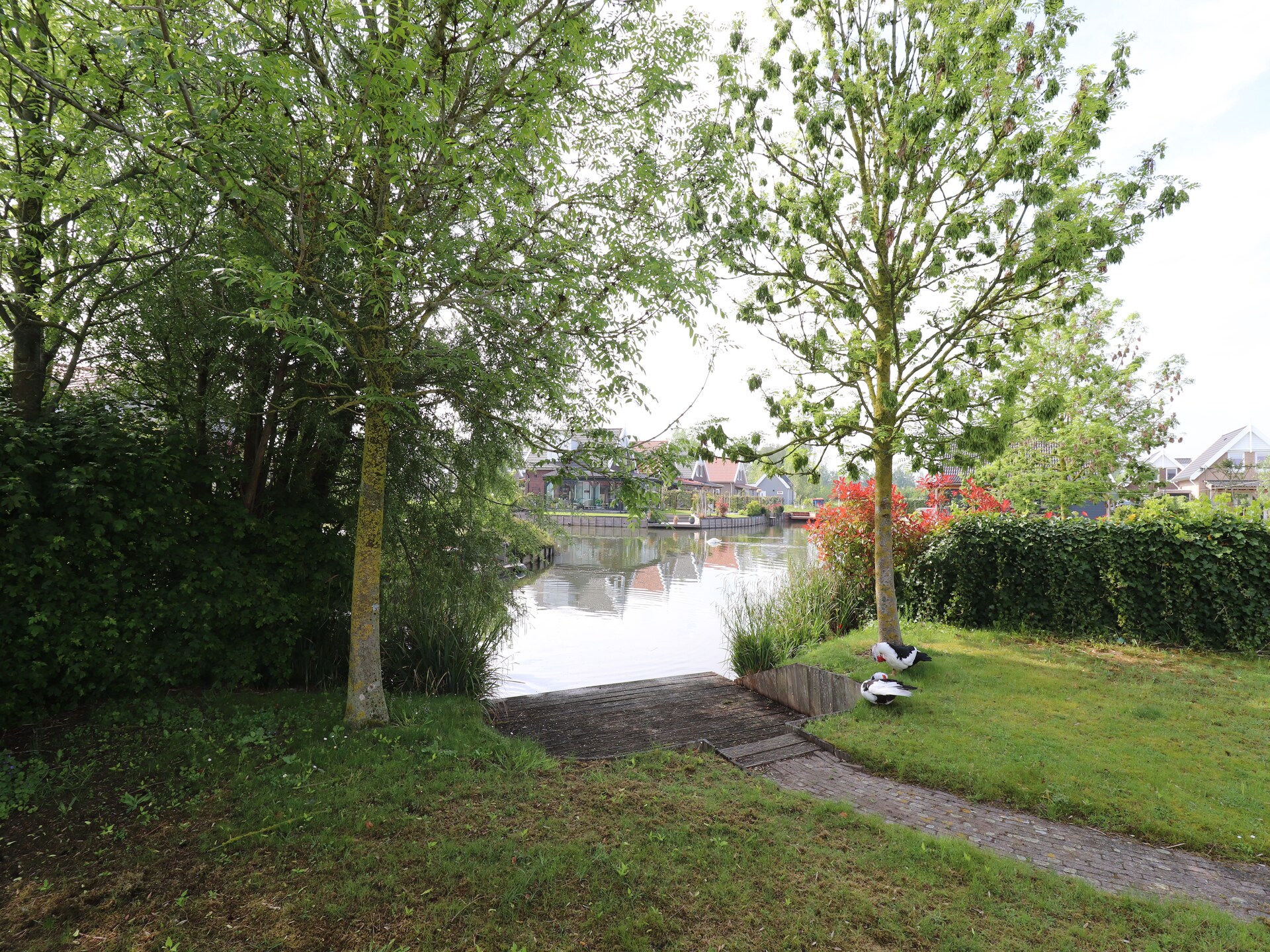 Vrijstaand vakantiehuis aan het water met aanlegsteiger in Simonshaven - foto 13