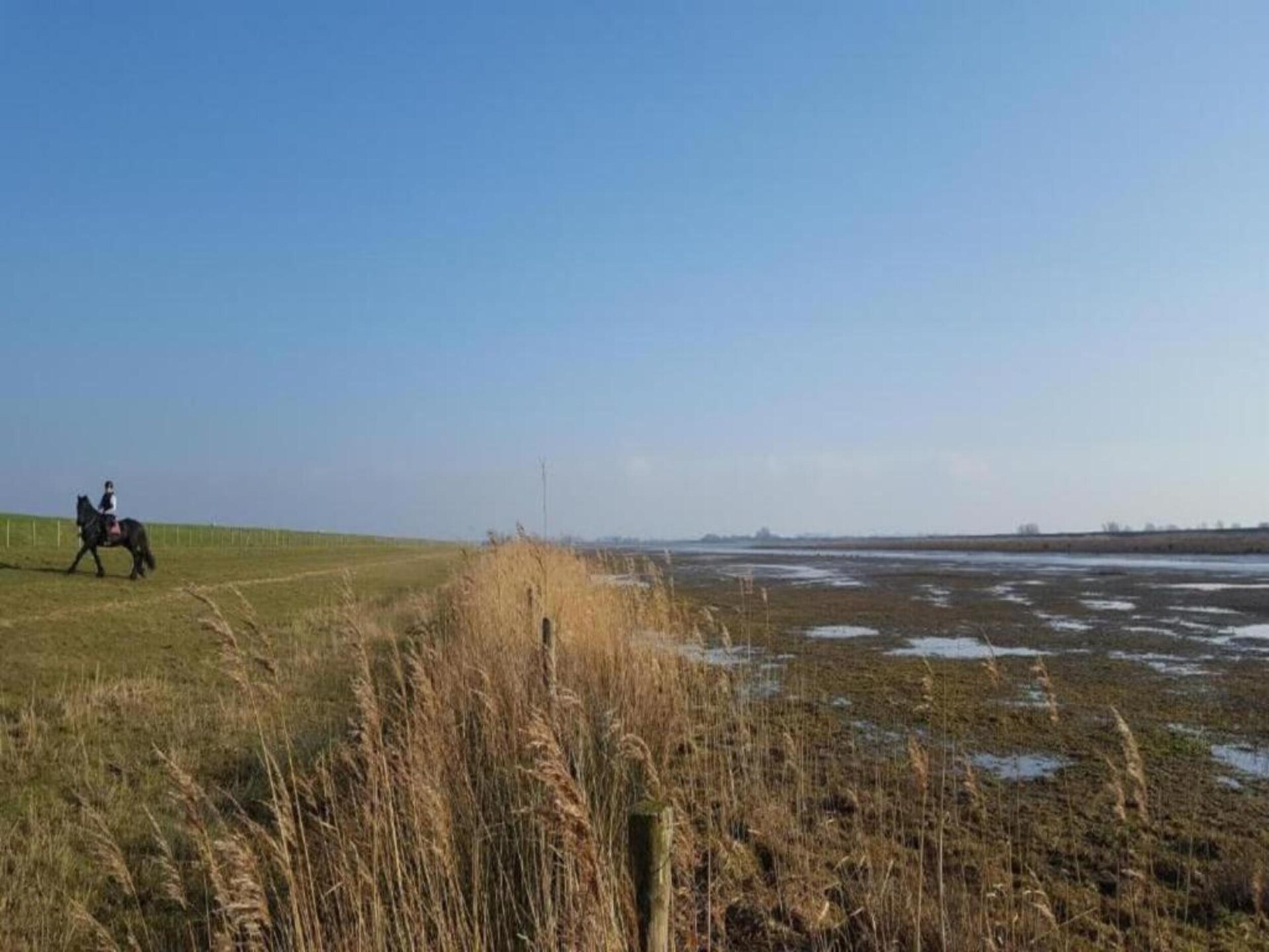 Knus vakantiehuis aan het water in Simonshaven met eigen veranda - foto 35