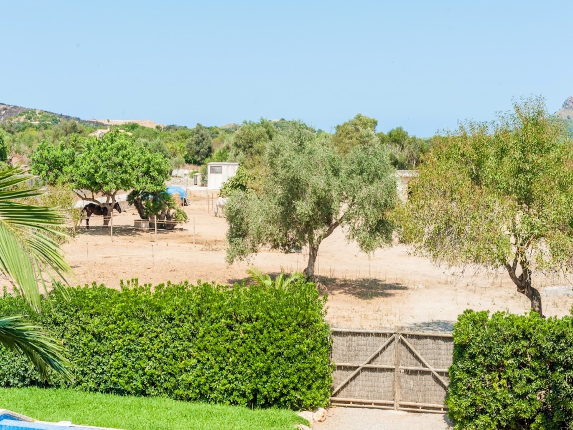 Casa Angela - foto 53