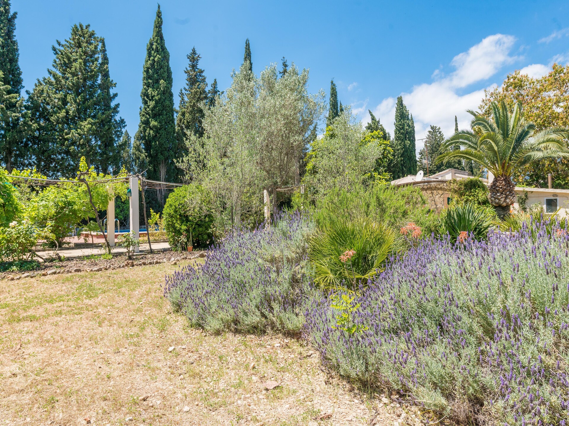 Vrijstaande villa met privézwembad en sportveld aan de golfbaan in Campanet - foto 48